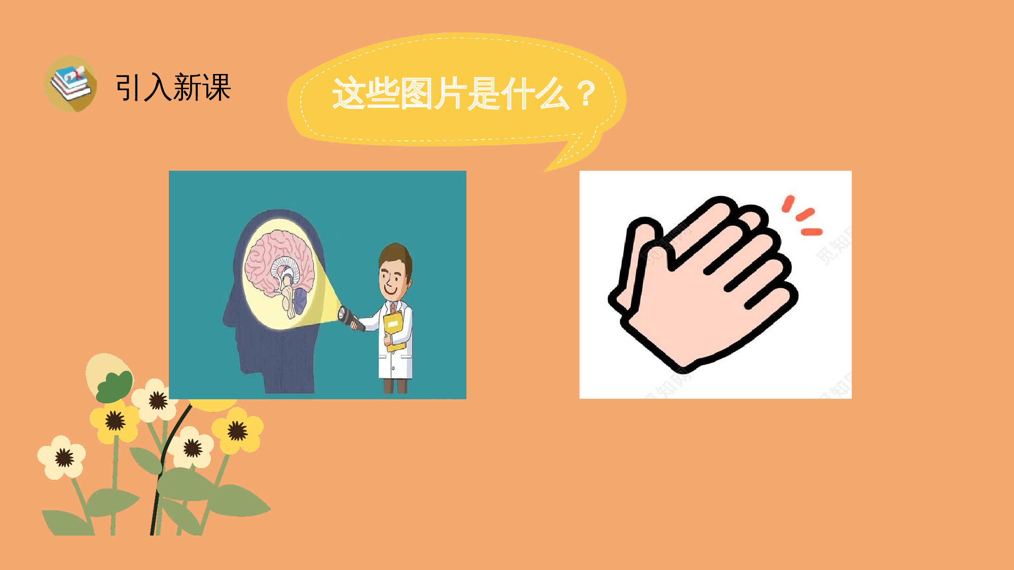 7 两件宝.pptx 第3页