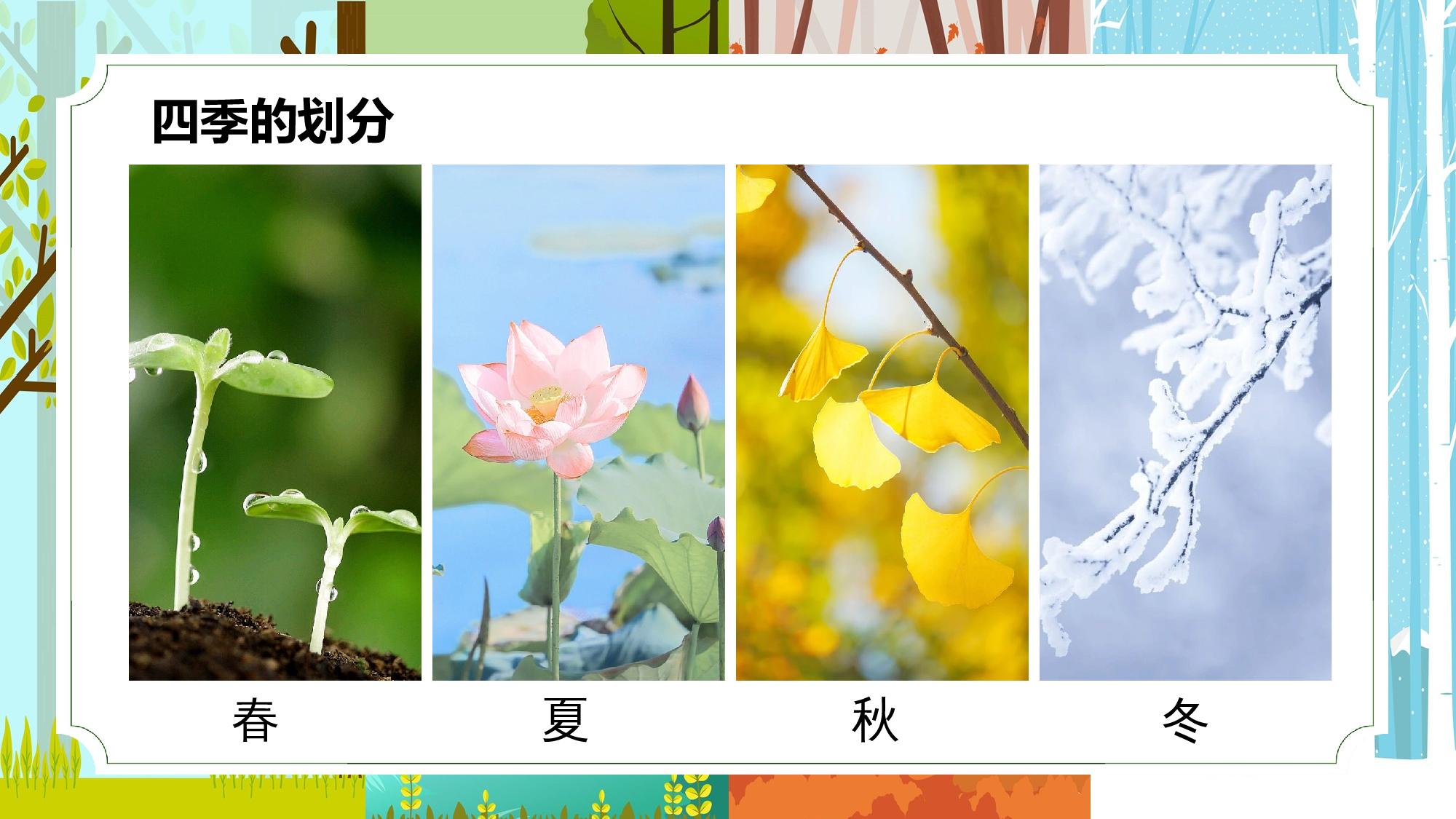 课文4《四季》（教学课件）-（统编版&middot;2024秋）.pptx 第3页