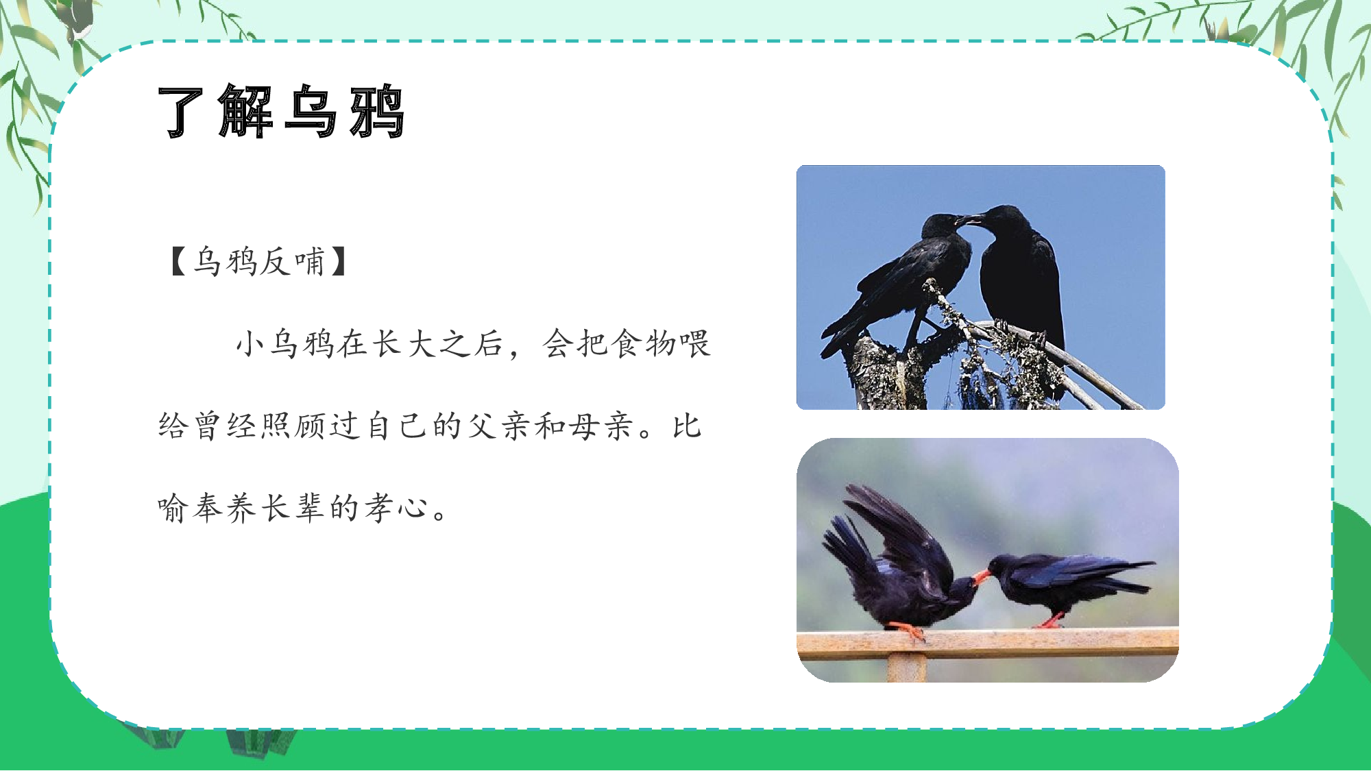 课文9《乌鸦喝水》（教学课件）-（统编版.2024秋）.pptx 第5页