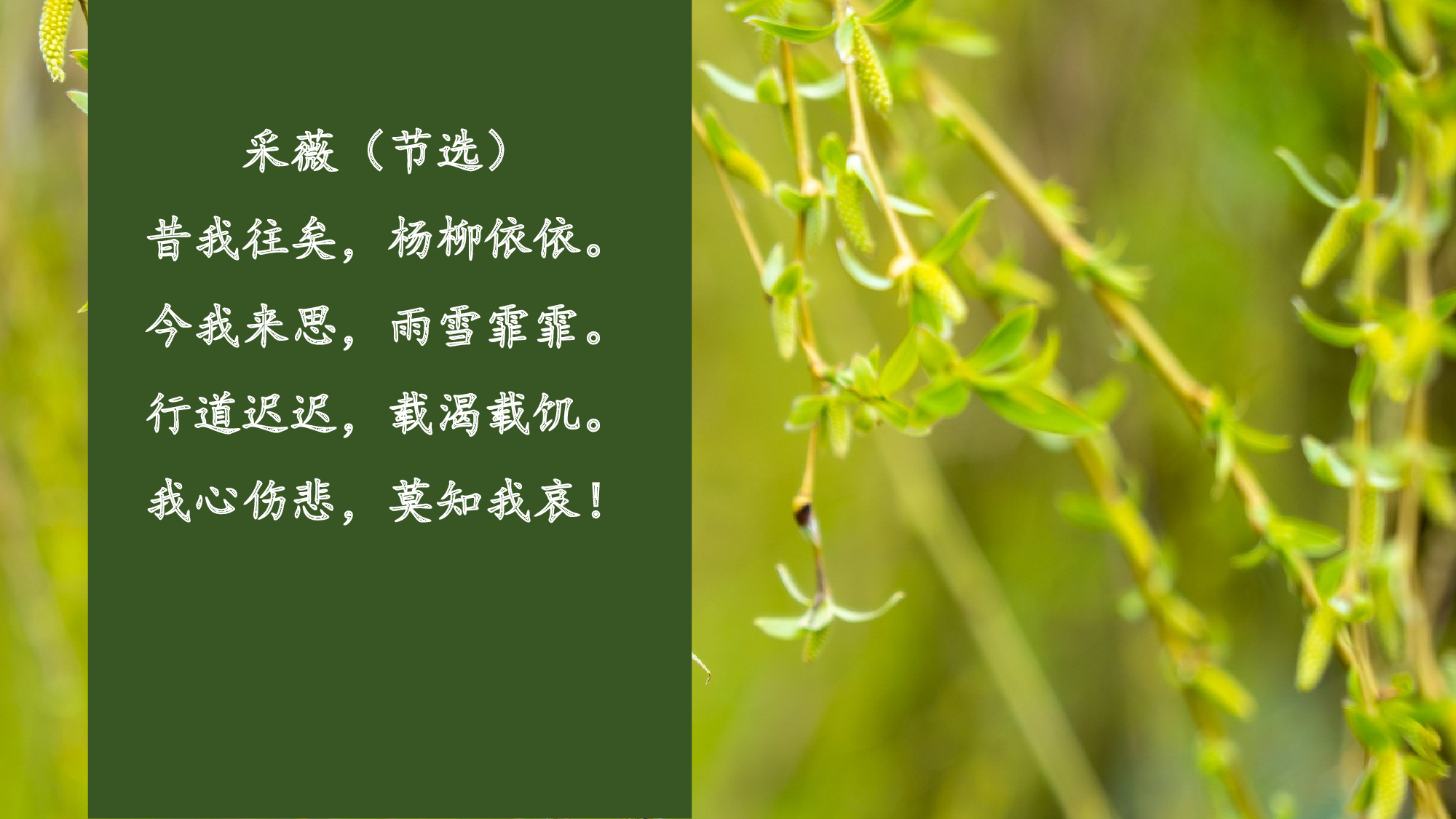 古诗词诵读（复习课件）-（统编版）.pptx 第4页