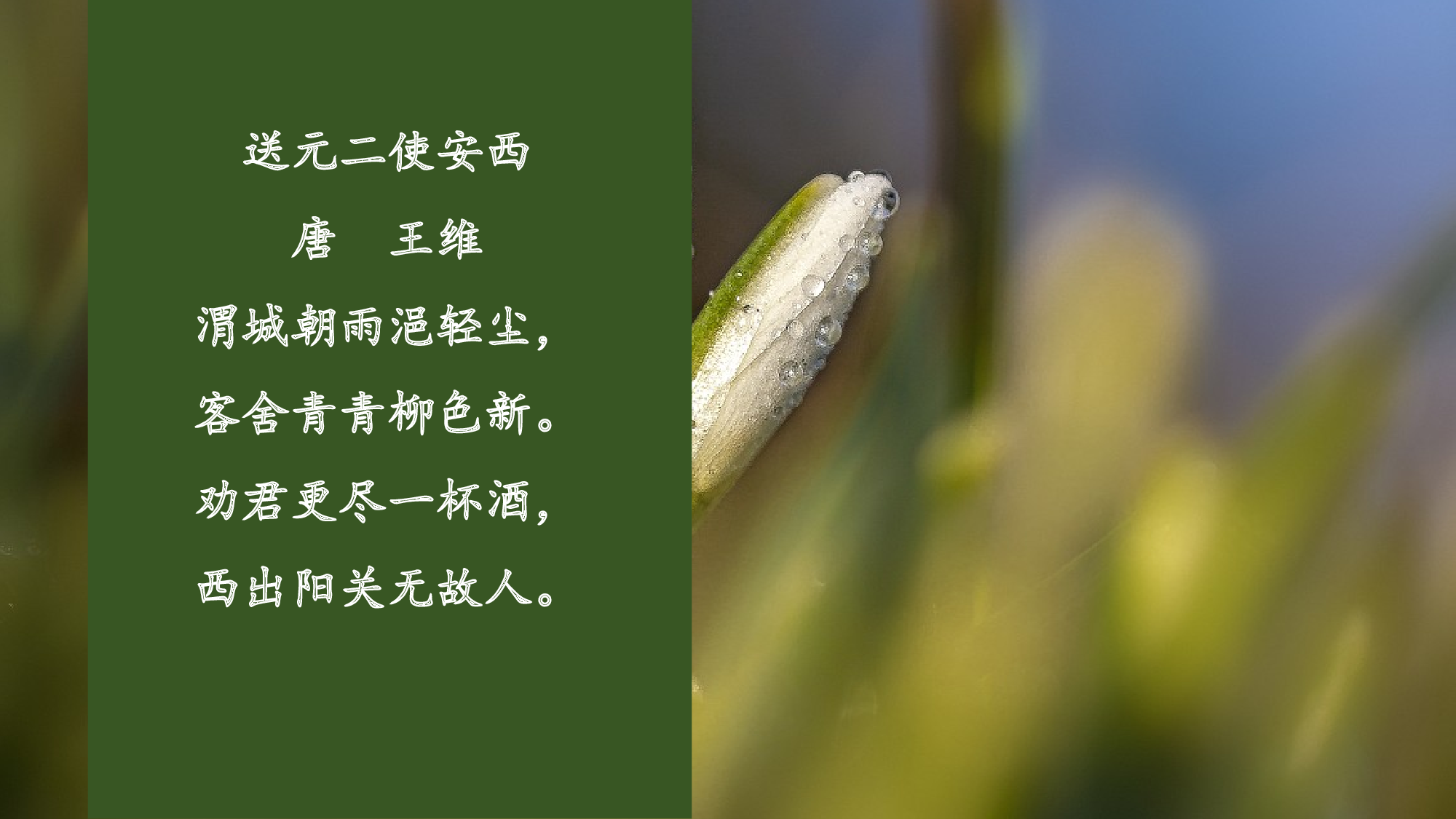 古诗词诵读（复习课件）-（统编版）.pptx 第9页