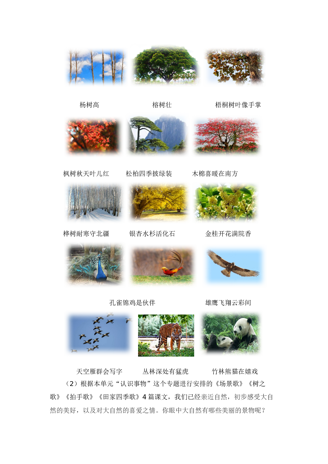 第二单元习作：美丽的大自然（素材积累）（统编版）.docx 第2页