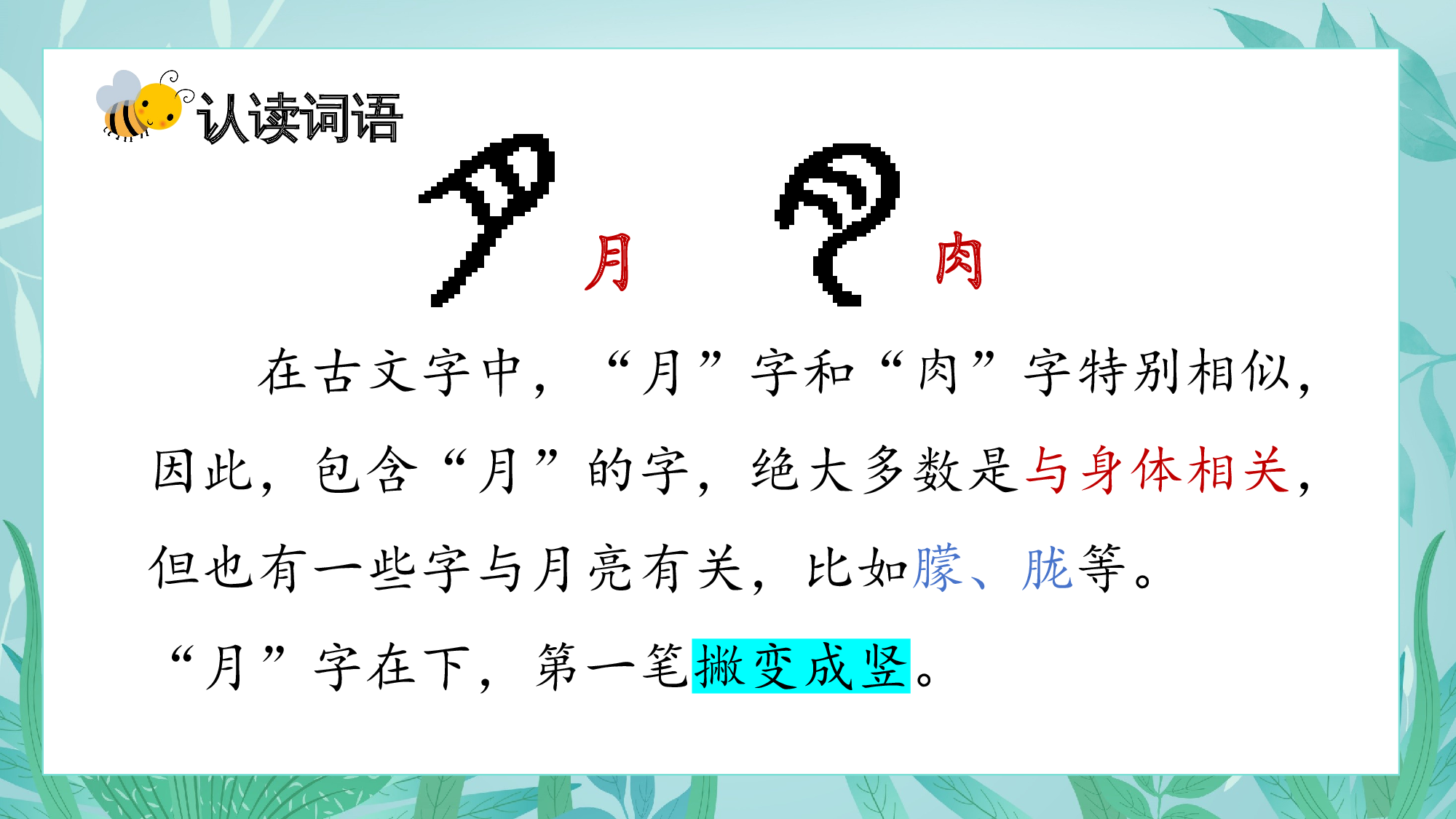 第11课《我是一只小虫子》（教学课件）.pptx 第9页