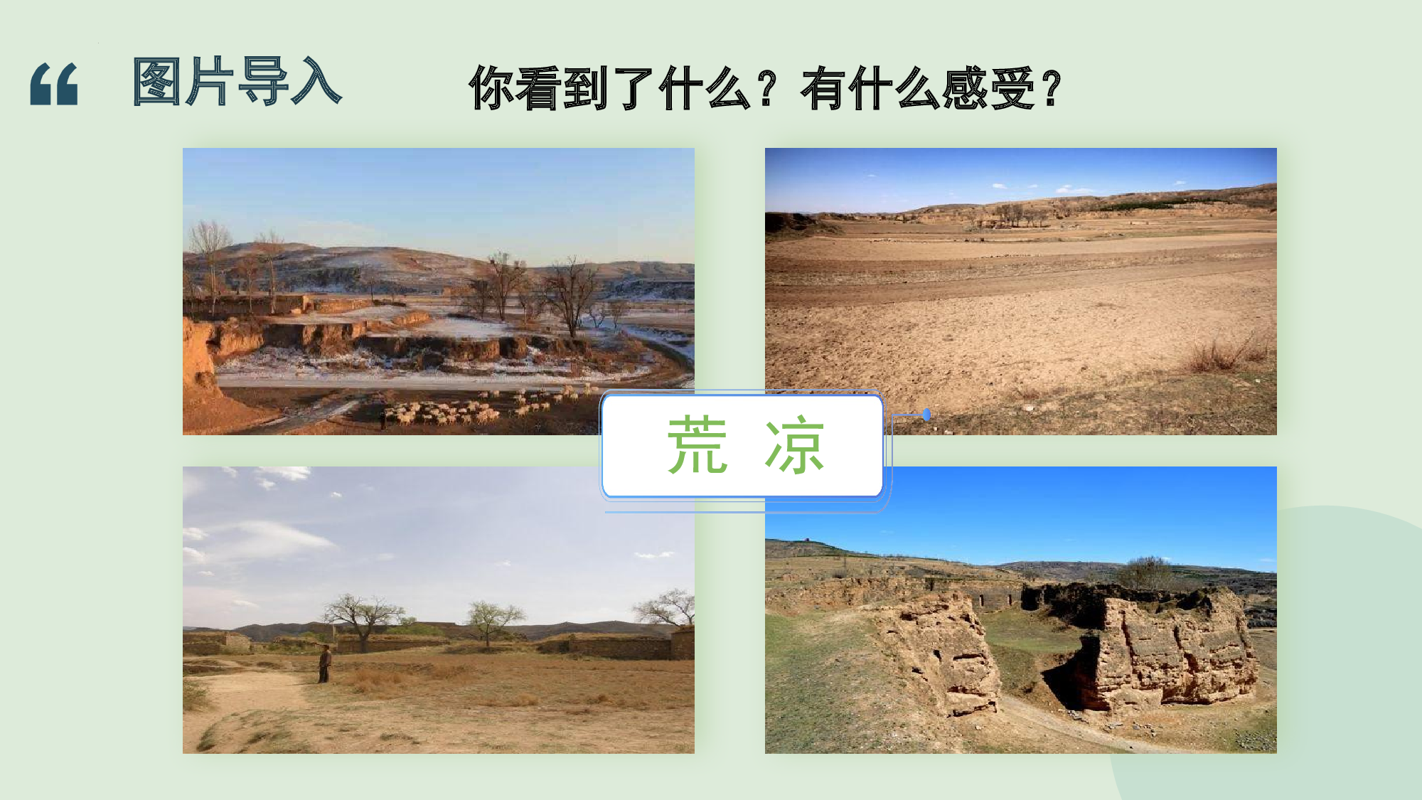 第20课《青山不老》（教学课件）-（统编版）(1).pptx 第3页