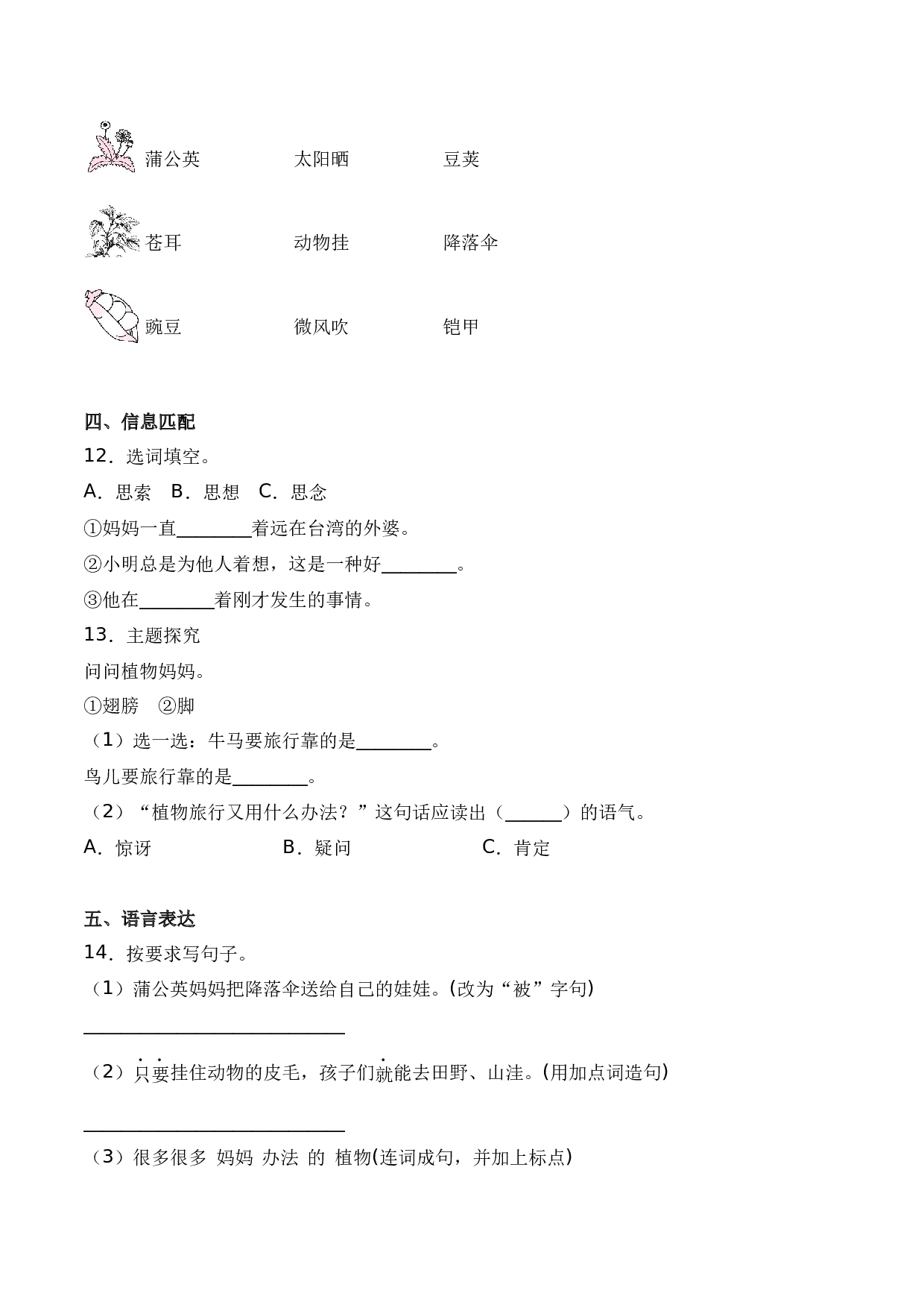 3 植物妈妈有办法（同步练习）-人教部编版（含答案）.docx 第3页