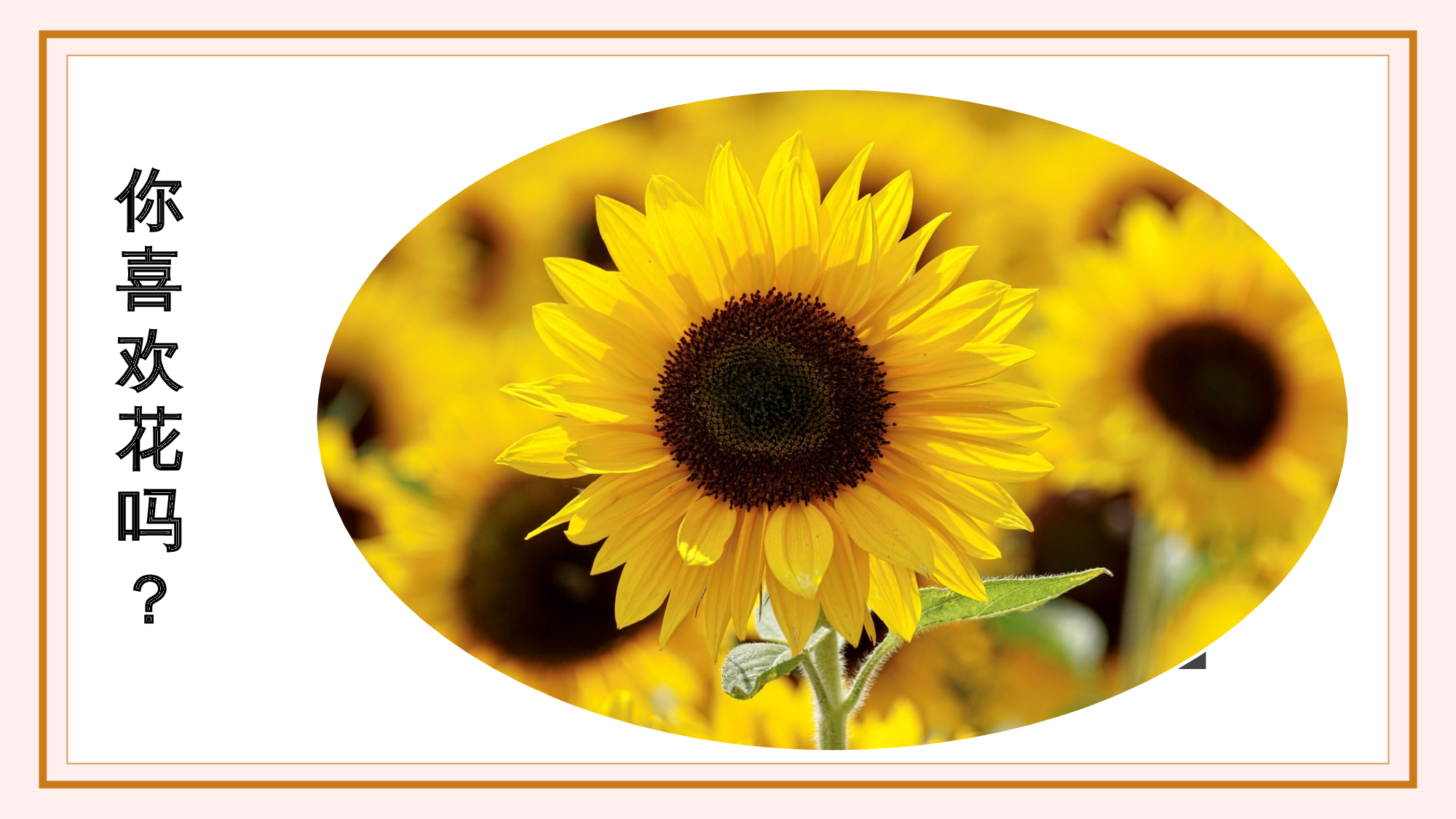 第4课《花之歌》（教学课件 ）-（ 统编版）(1).pptx 第3页