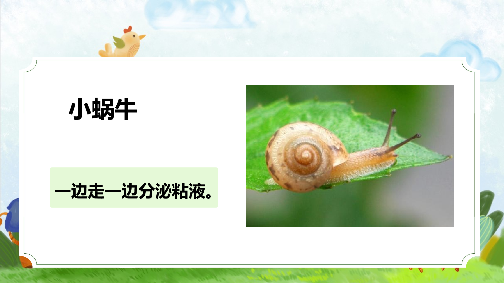 口语交际《有趣的动物》（教学课件）-统编版）.pptx 第7页