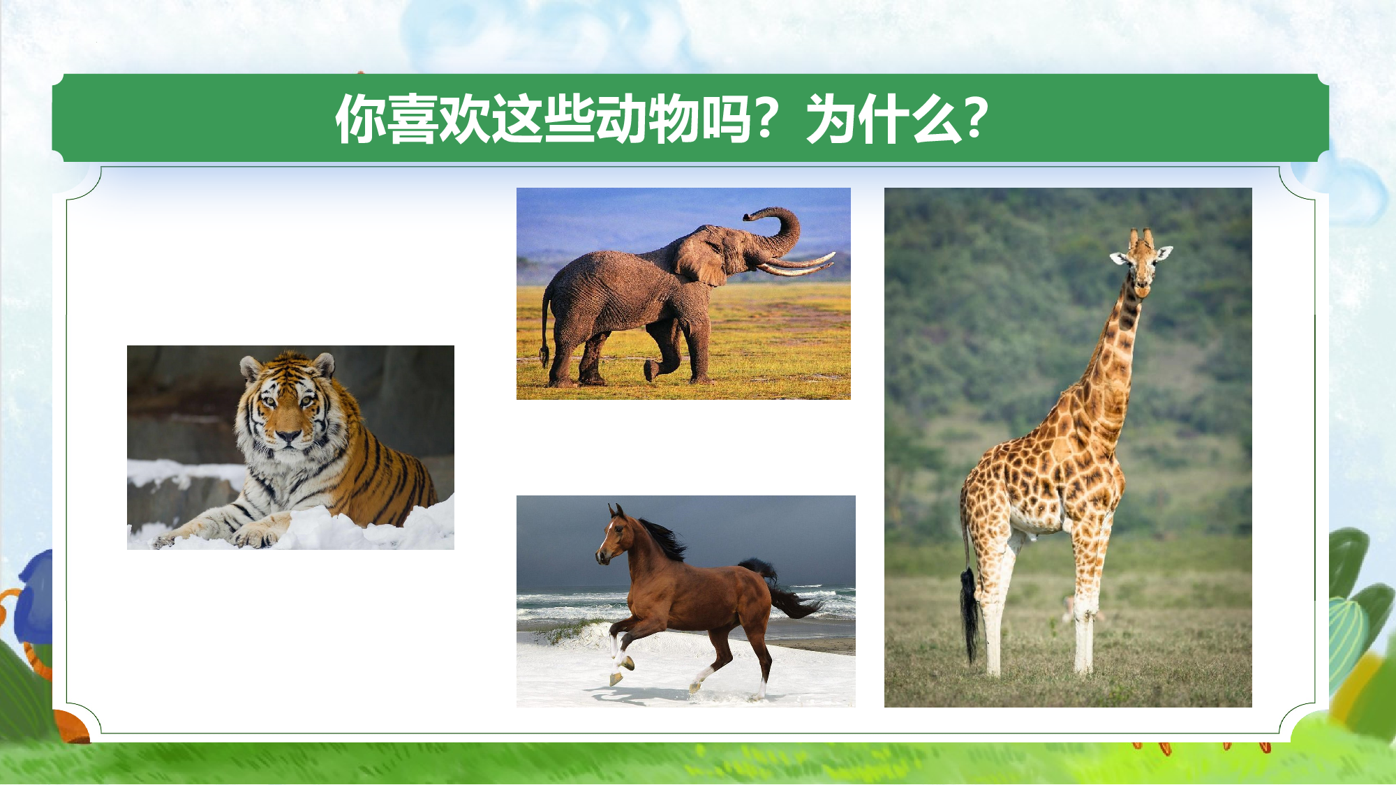 口语交际《有趣的动物》（教学课件）-统编版）.pptx 第2页