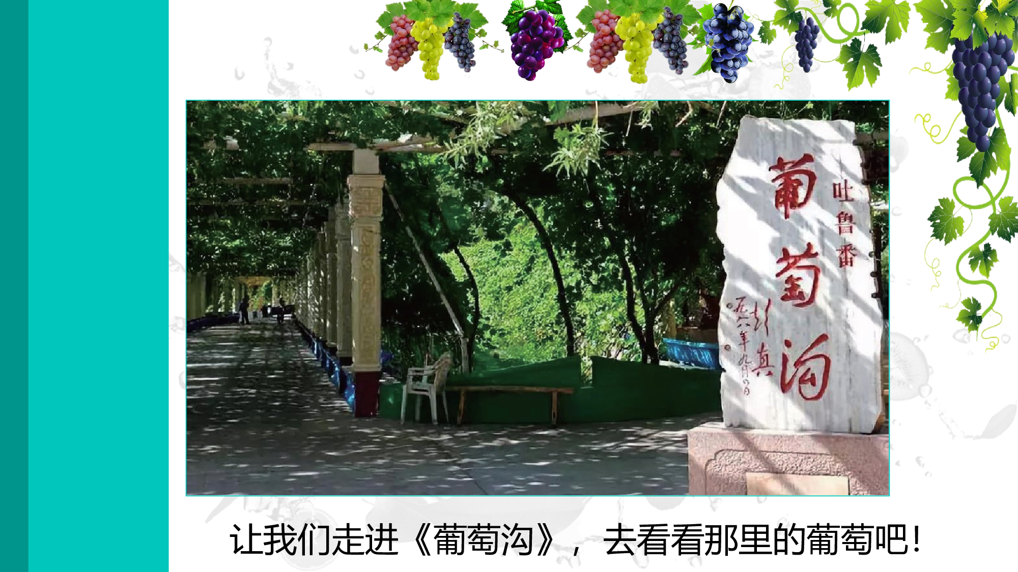 第11课《葡萄沟》（教学课件）-统编版）.pptx 第4页