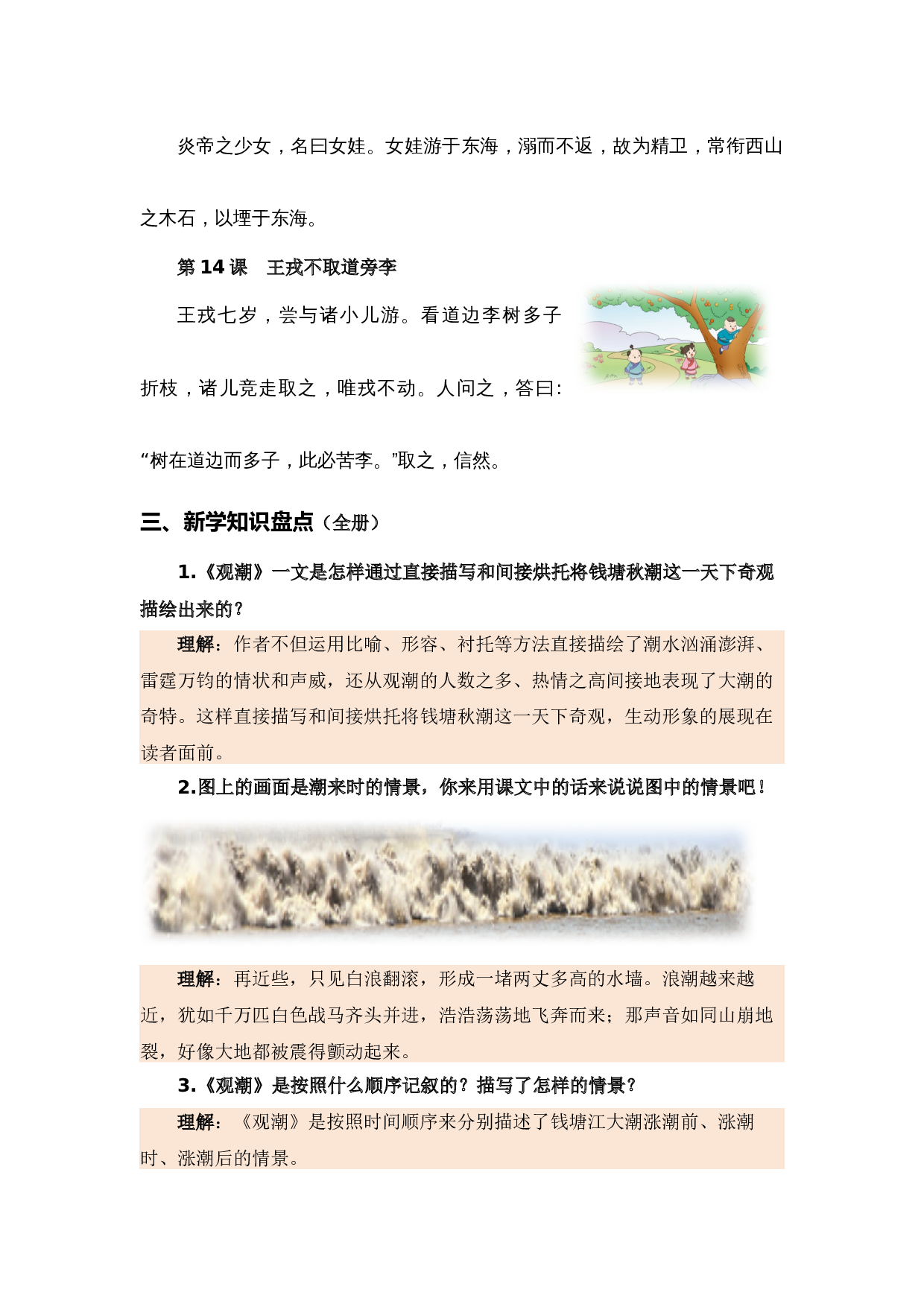 专题06 课文梳理（专项训练）-（统编版）.docx 第5页