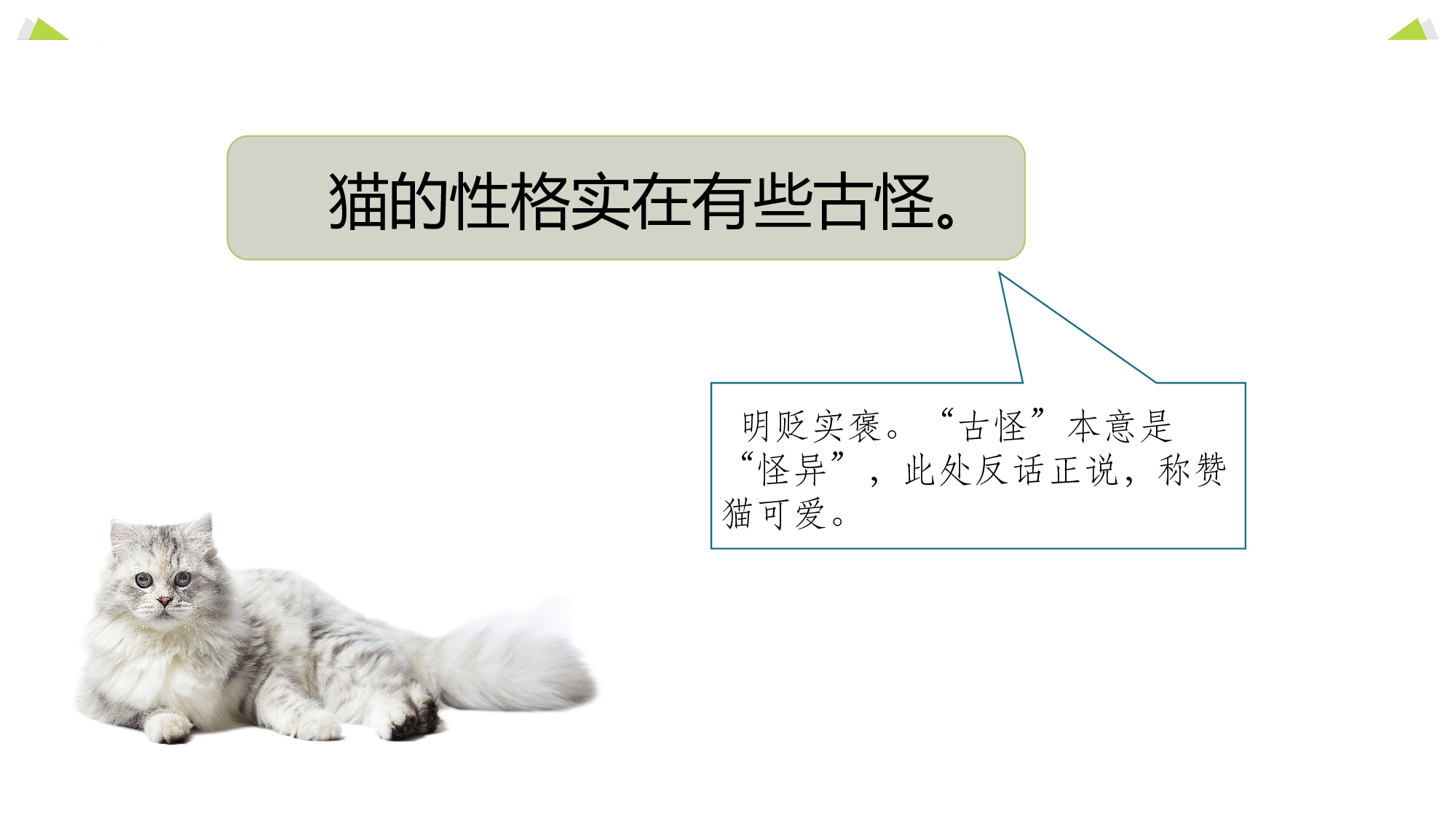 语文园地四（教学课件）-（统编版）.pptx 第4页