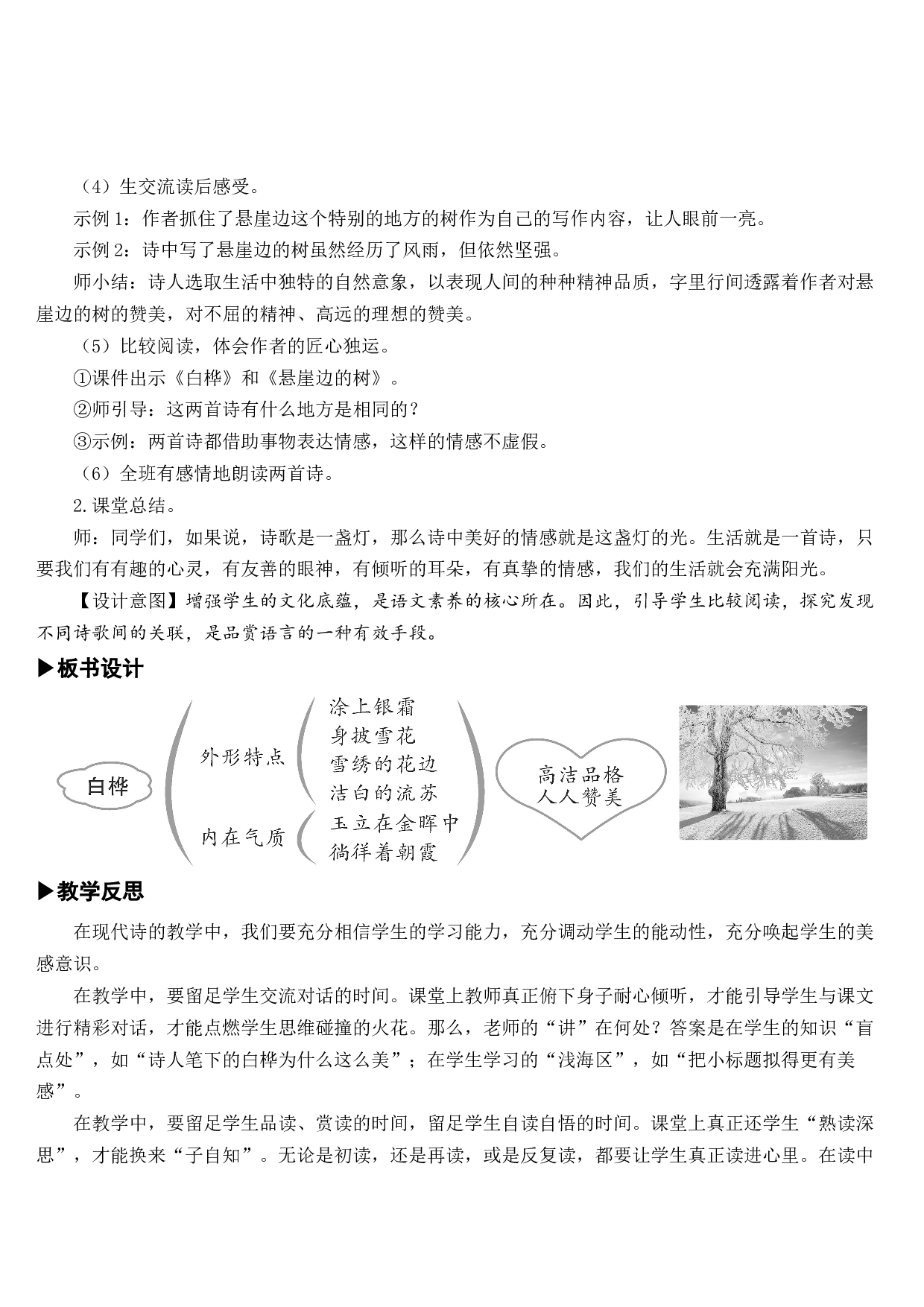 11 白桦【教案】.docx 第8页