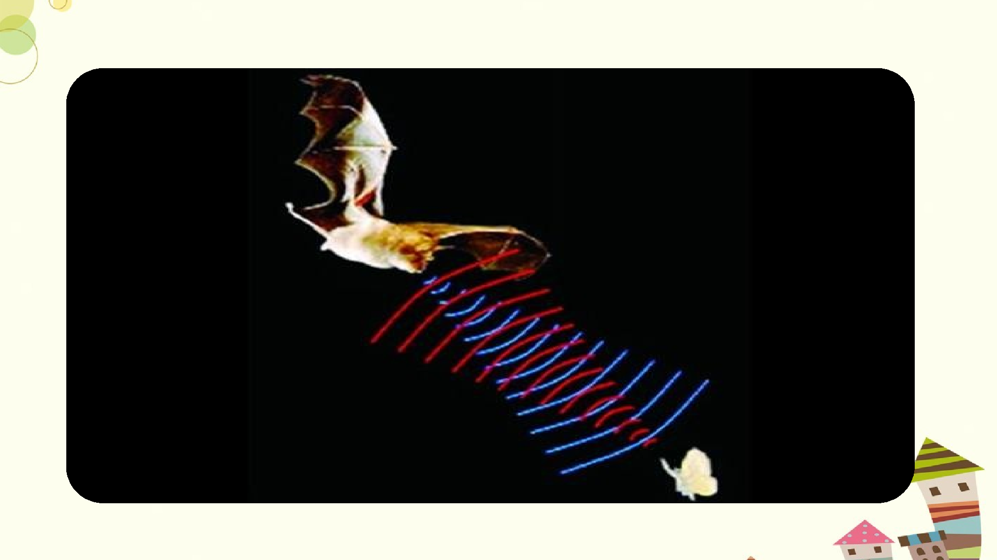 蝙蝠和雷达 第一课时.pptx 第9页