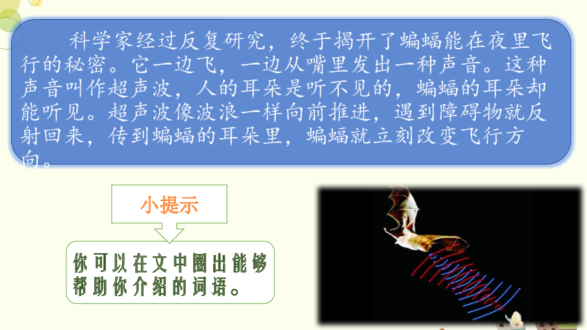 蝙蝠和雷达 第一课时.pptx 第8页