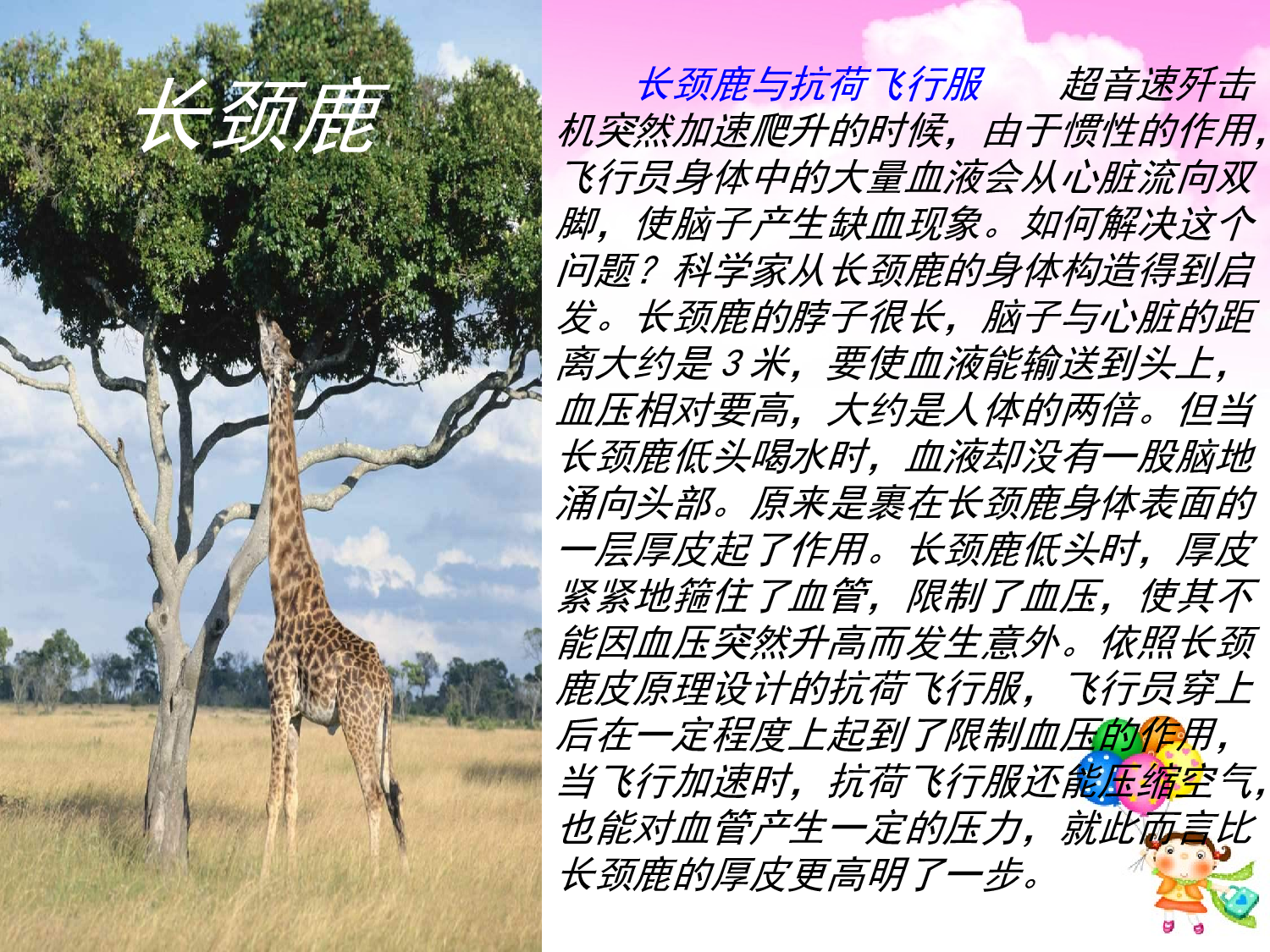 蝙蝠和雷达.ppt 第10页