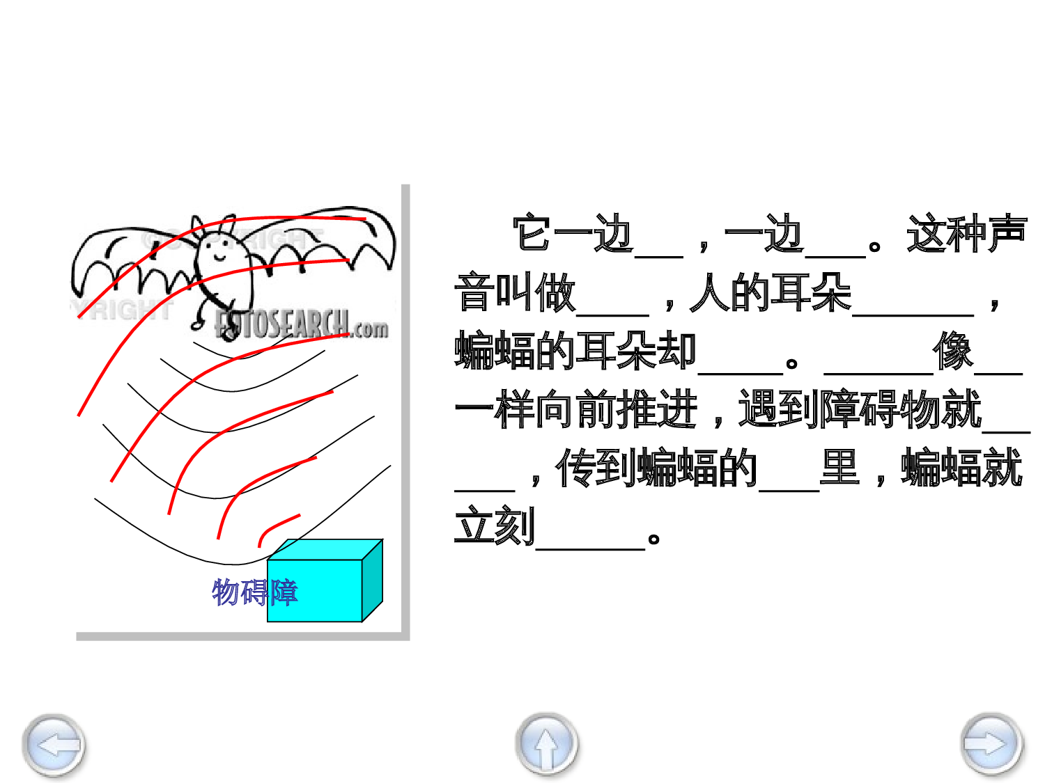 蝙蝠和雷达课件.ppt 第5页