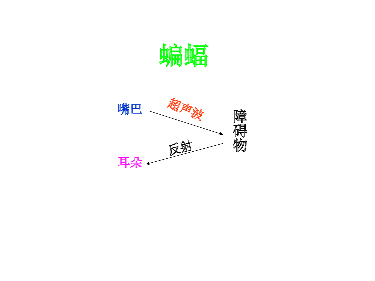 蝙蝠和雷达课件.ppt 第4页