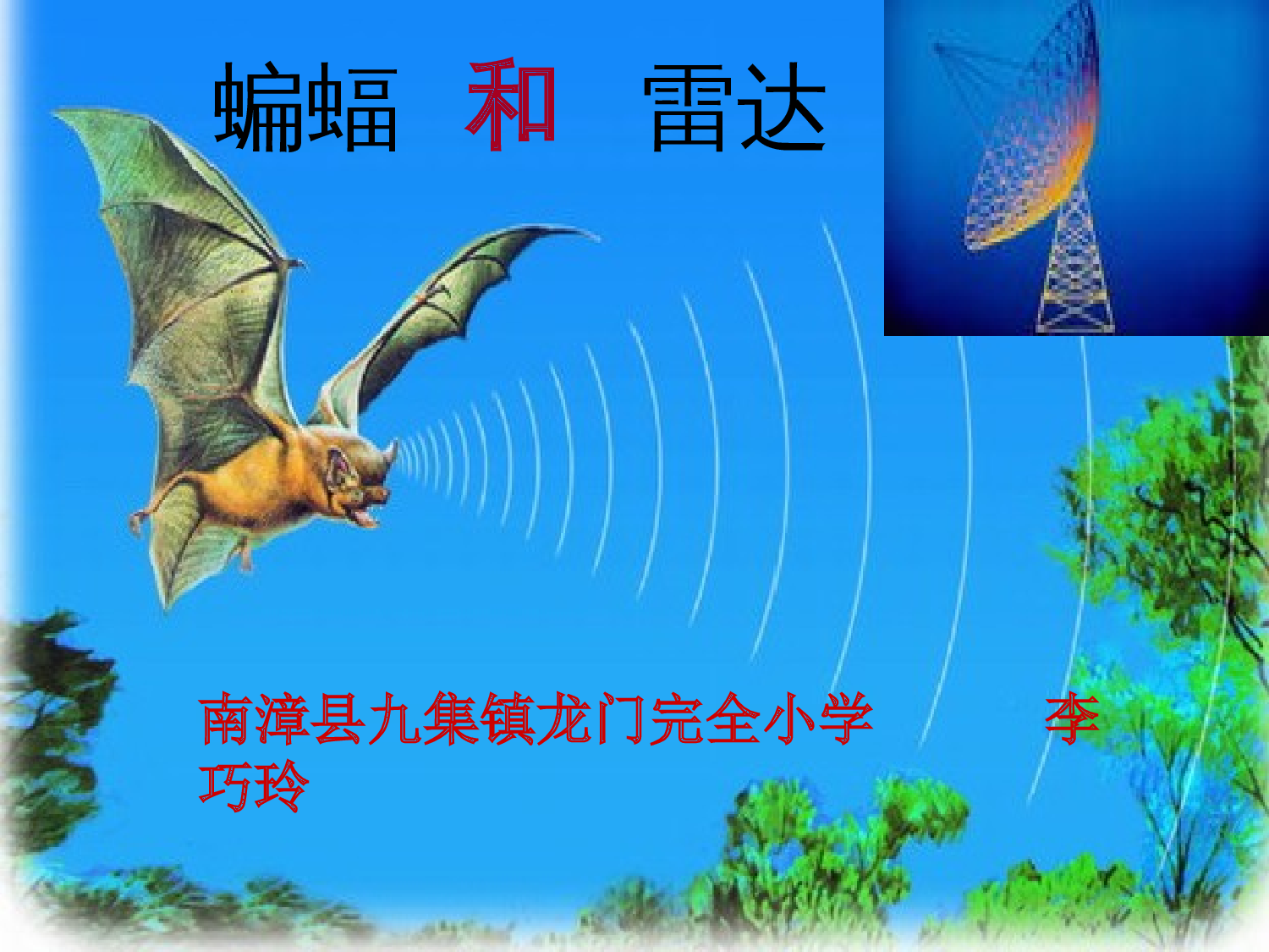 蝙蝠和雷达课件.ppt 第1页