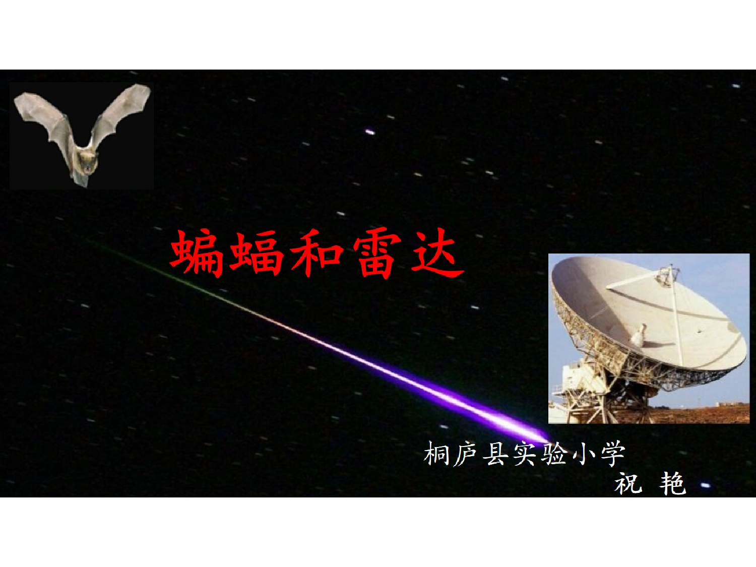 蝙蝠和雷达#桐庐县实验小学祝艳#.ppt 第1页