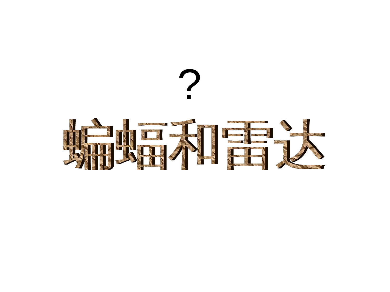 11蝙蝠和雷达.ppt 第4页