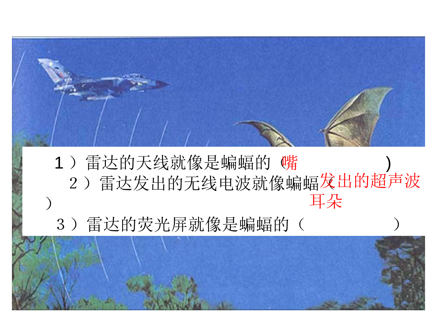 11蝙蝠和雷达.ppt 第10页