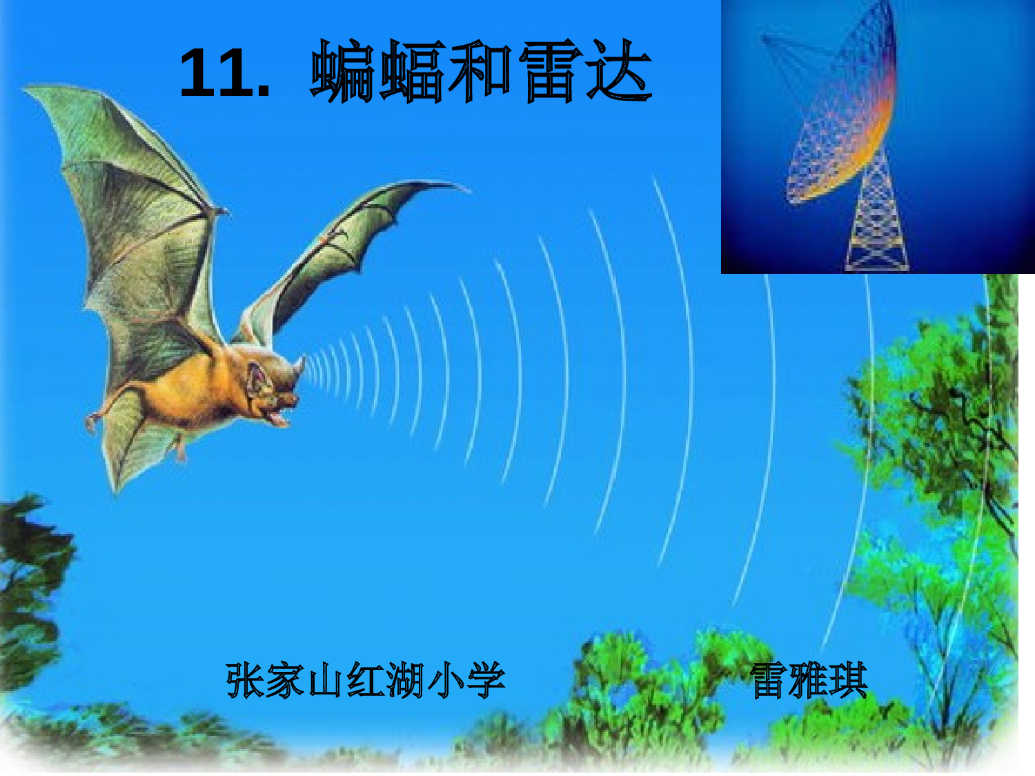 蝙蝠和雷达.ppt 第1页