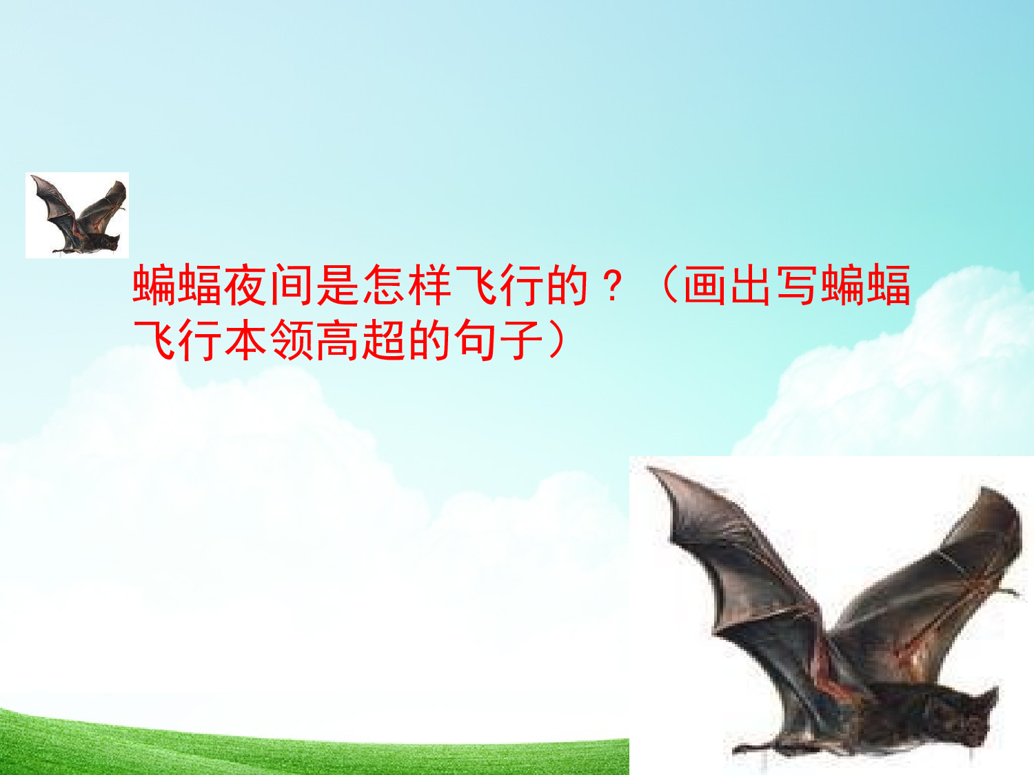 蝙蝠和雷达      第二课时.ppt 第4页