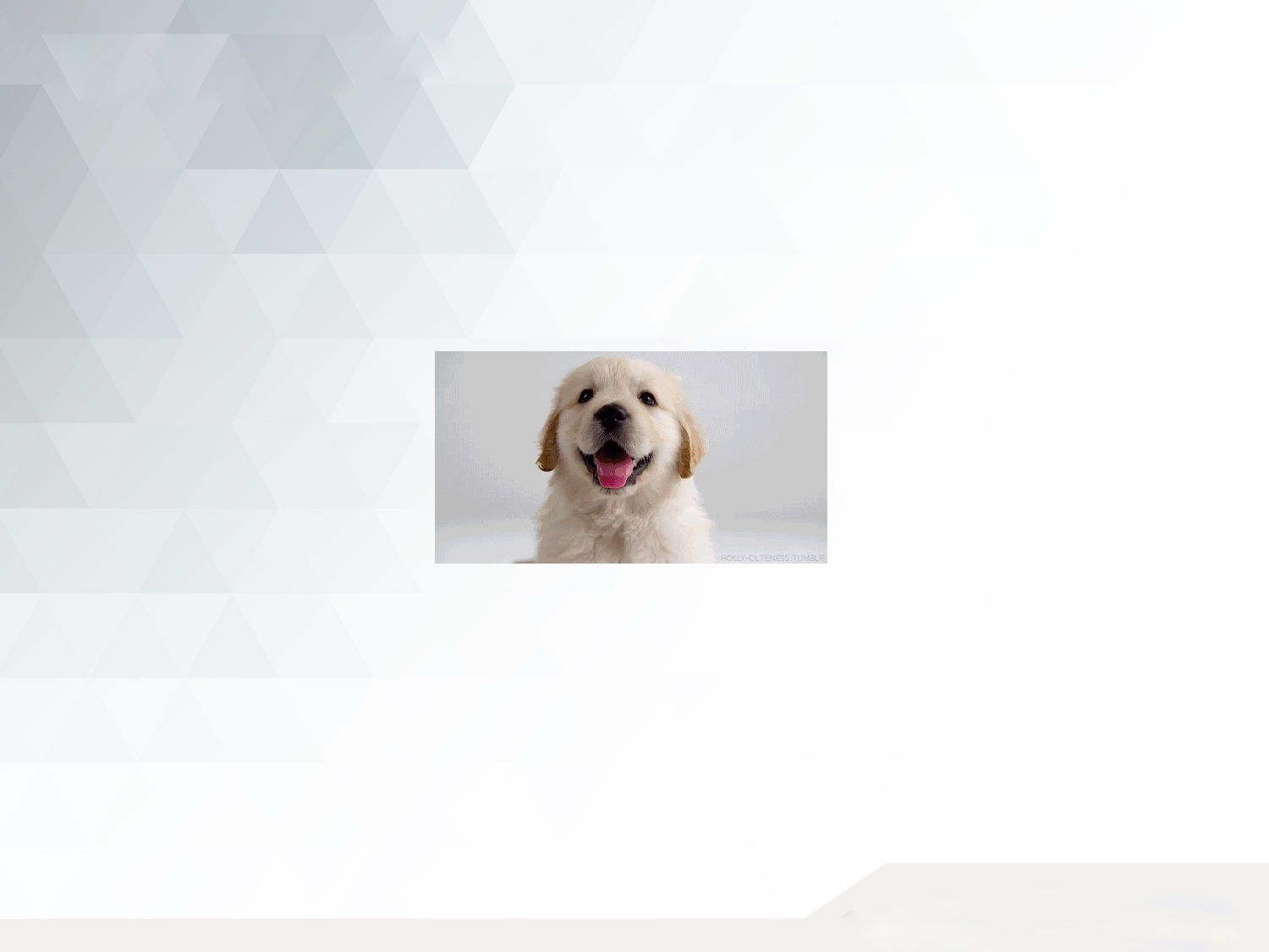 小小动物园.pptx 第10页