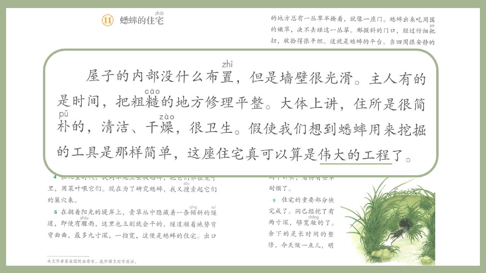 蟋蟀的住宅 第一课时.pptx 第9页