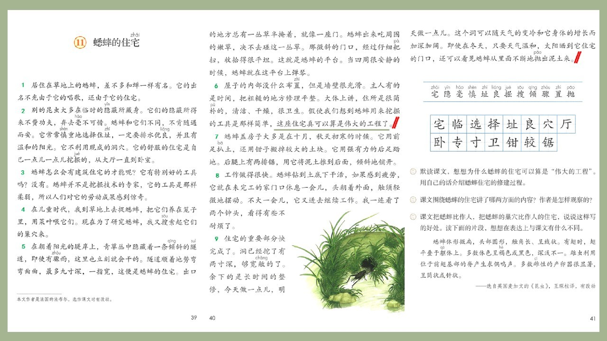 蟋蟀的住宅 第一课时.pptx 第7页