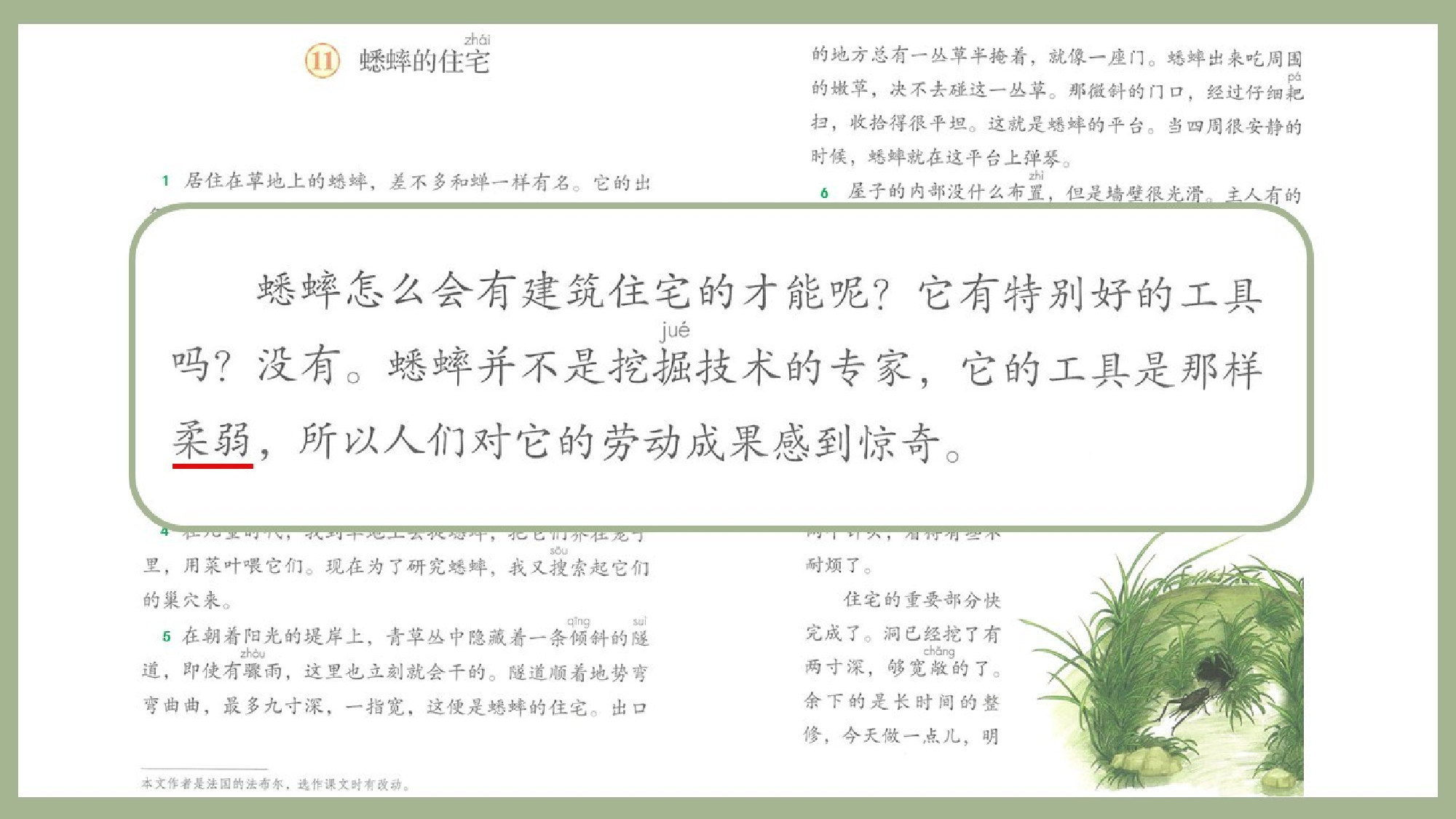蟋蟀的住宅 第一课时.pptx 第10页