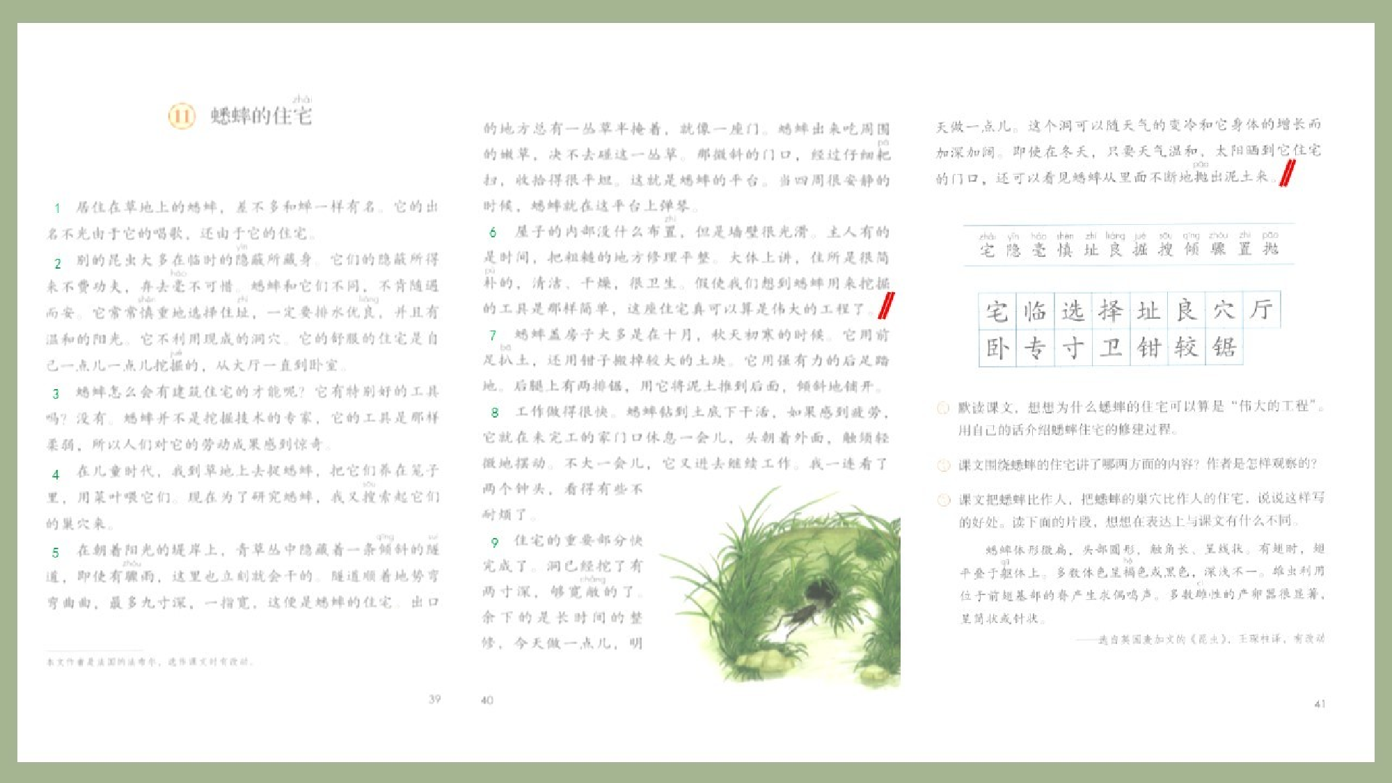 蟋蟀的住宅 第一课时.pptx 第6页