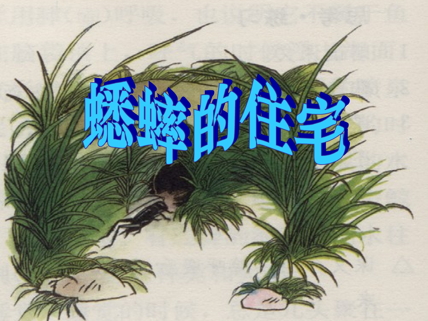 【课件】蟋蟀的住宅.ppt 第1页