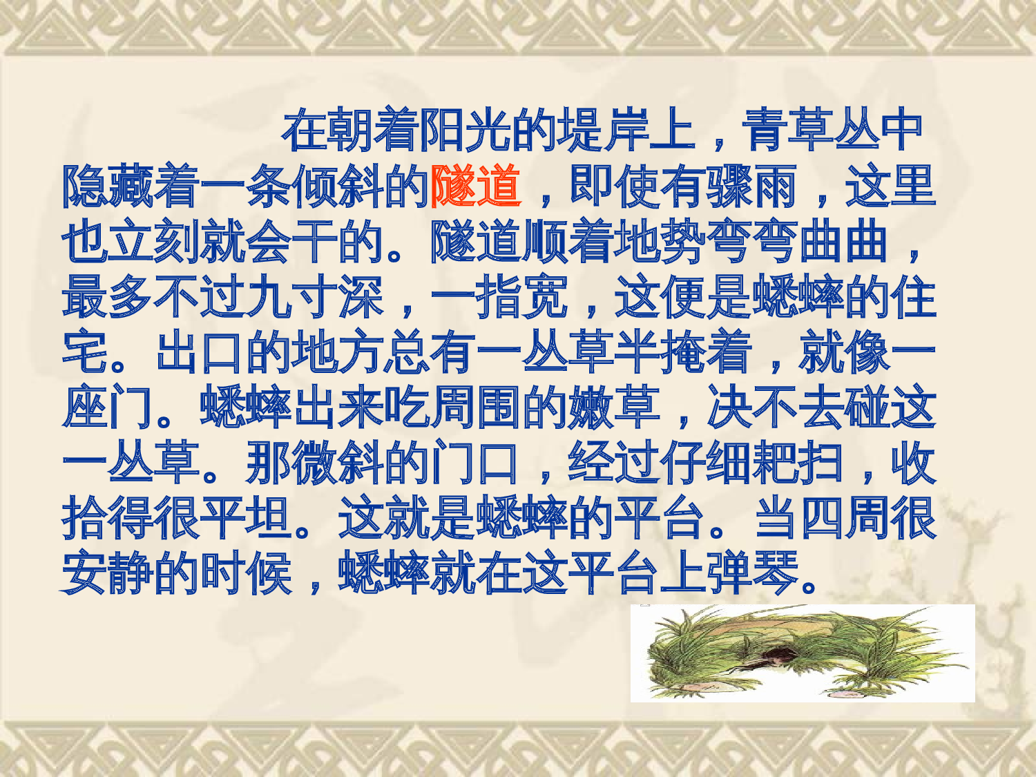 【课件】蟋蟀的住宅.ppt 第10页