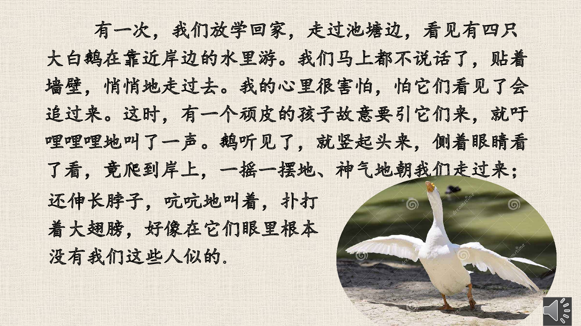 牛和鹅 共二课时.pptx 第10页