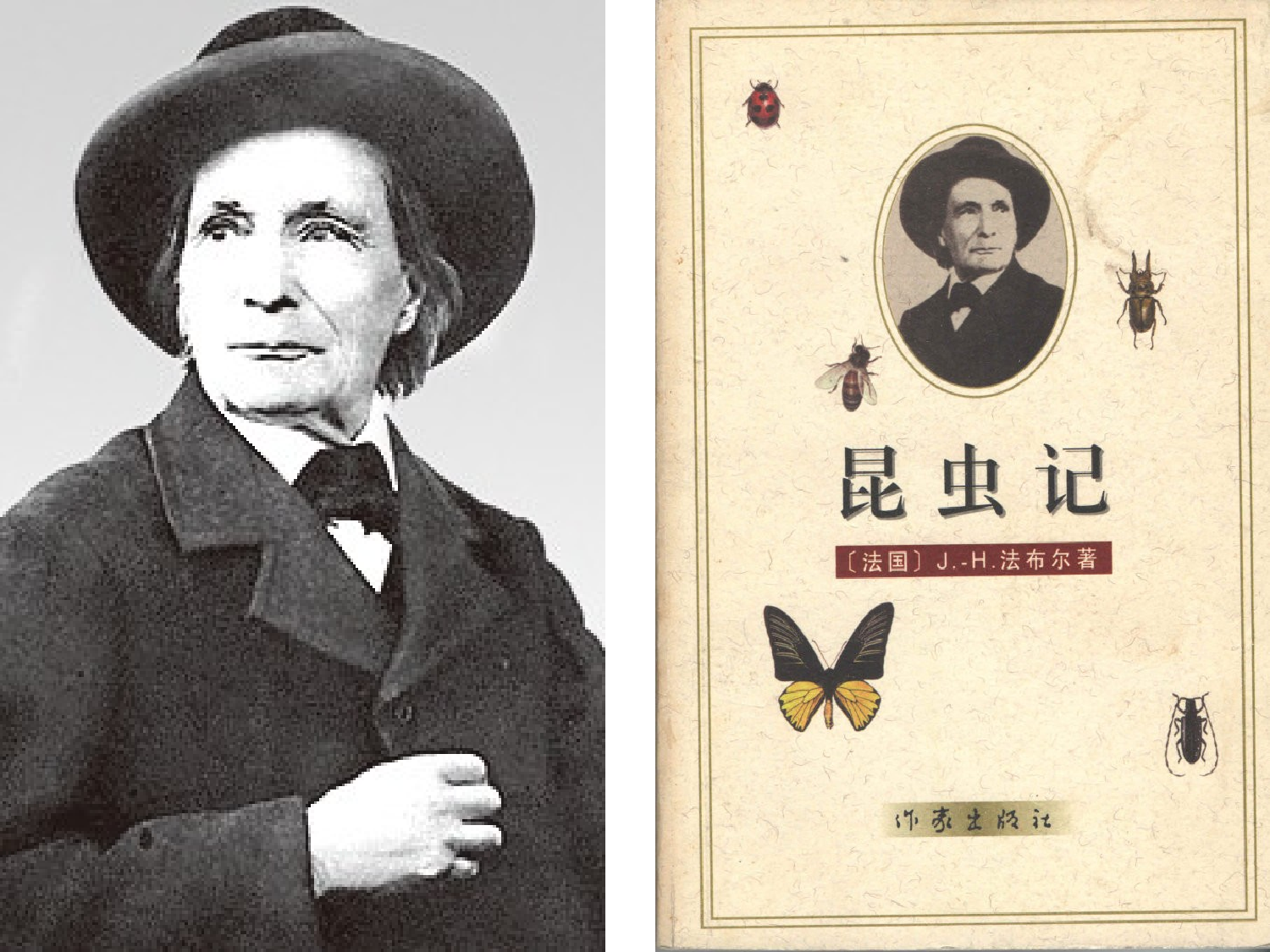 【课件】蟋蟀的住宅.ppt 第4页