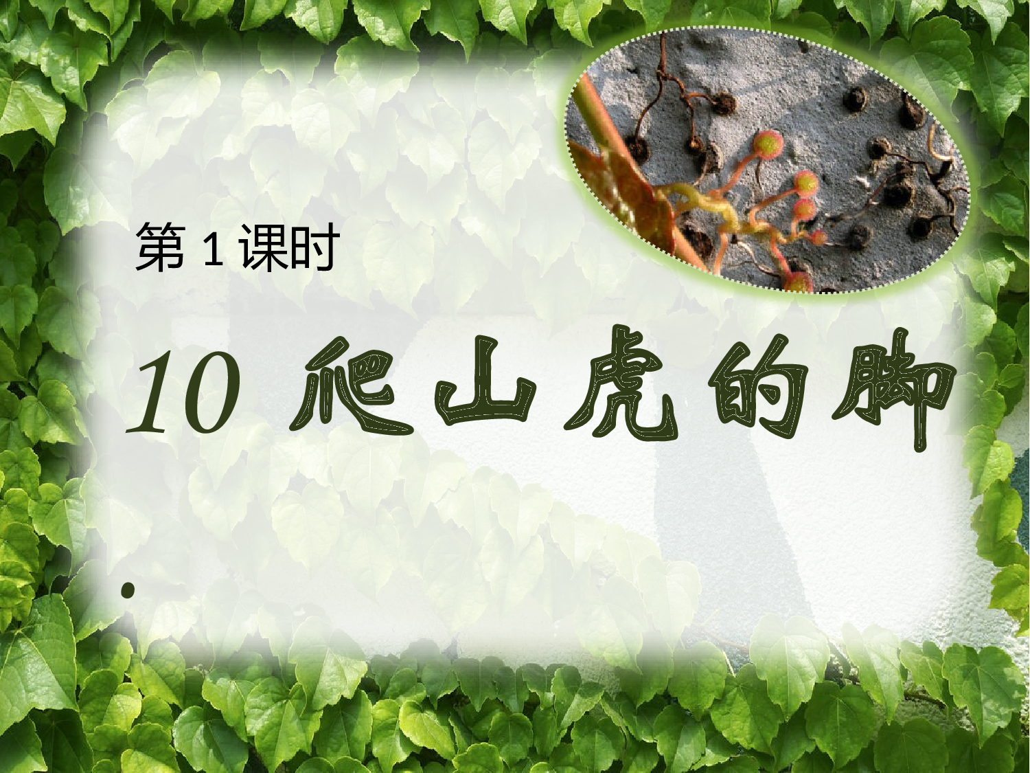 爬山虎的脚 第一课时.pptx 第1页