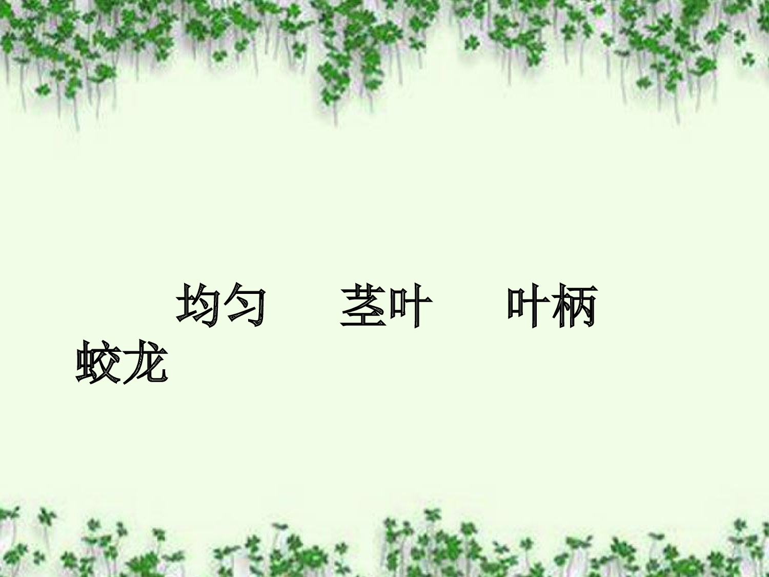 【课件】爬山虎的脚.ppt 第4页