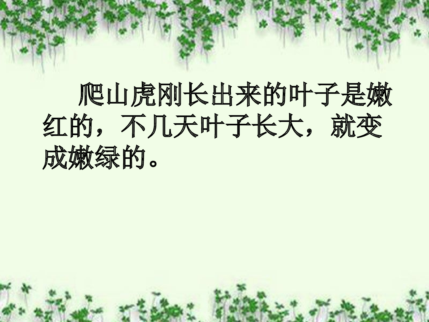 【课件】爬山虎的脚.ppt 第10页