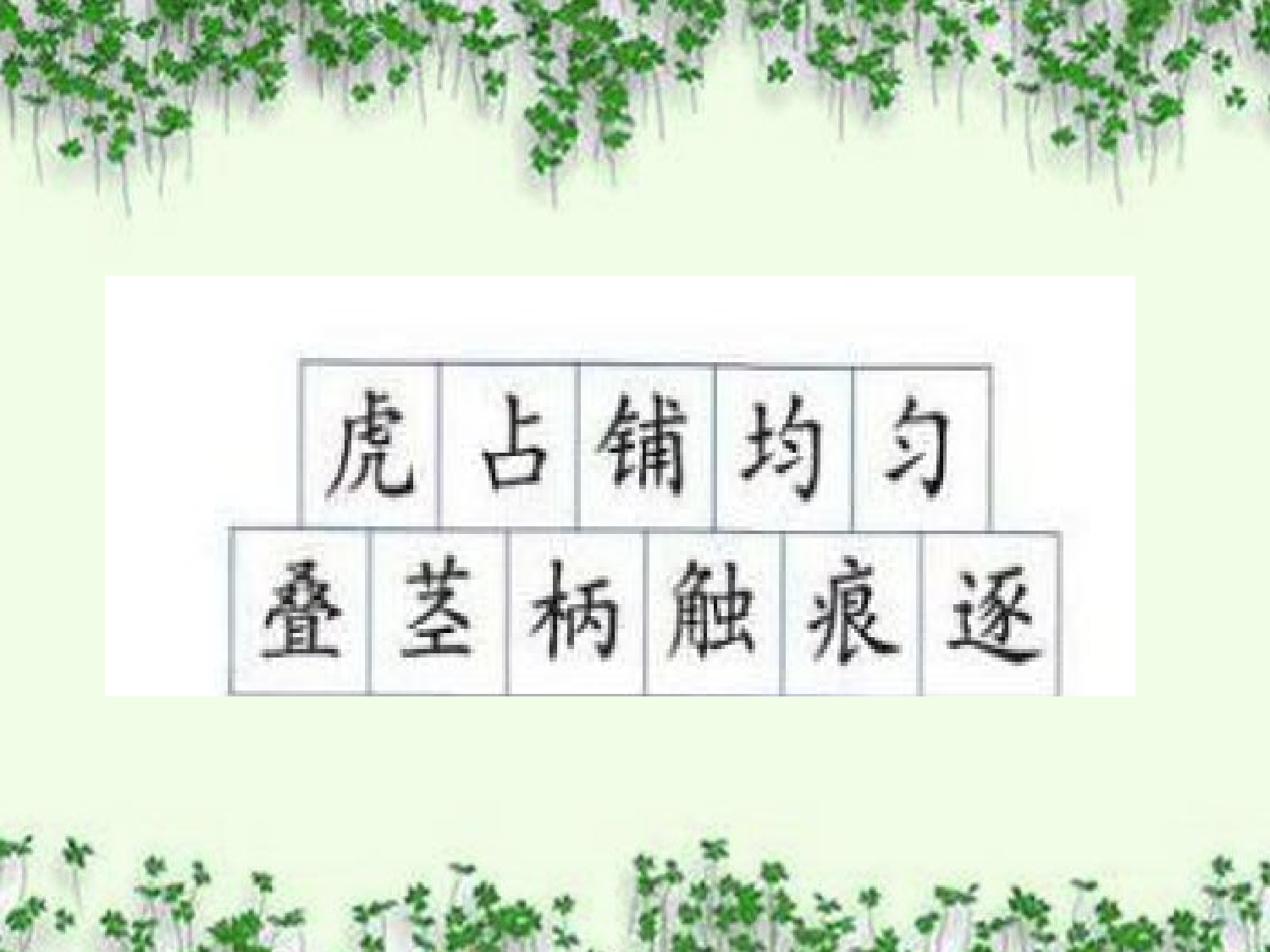 【课件】爬山虎的脚.ppt 第5页