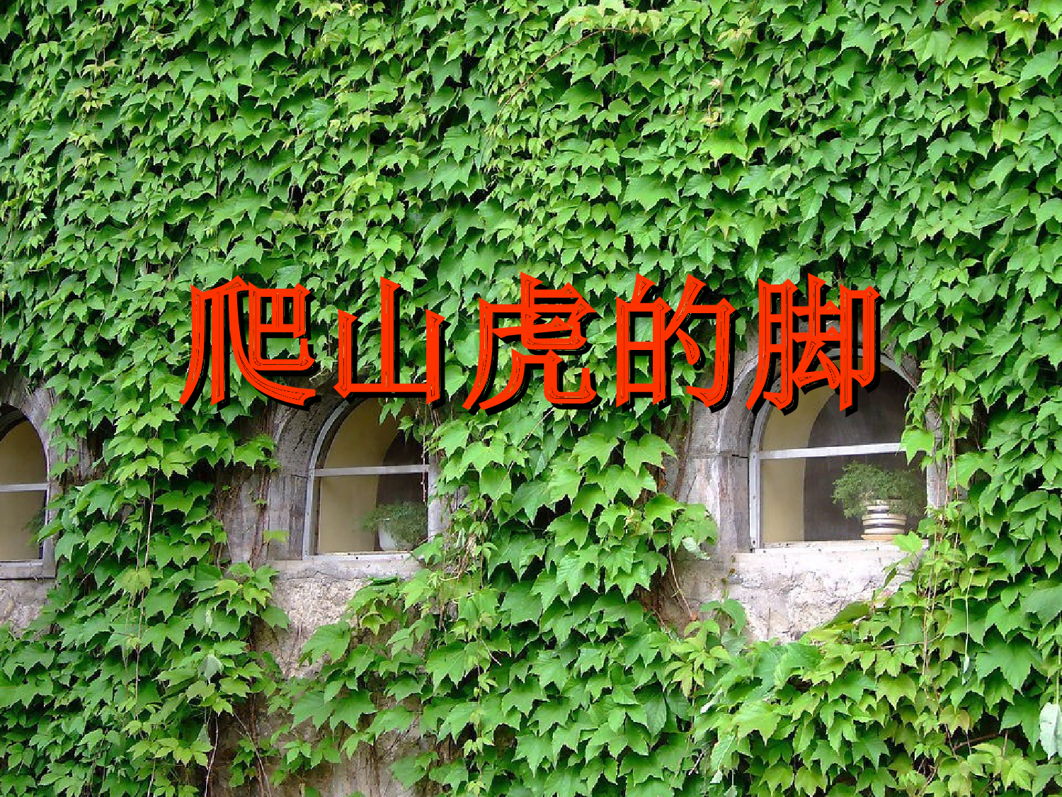 【课件】爬山虎的脚.ppt 第4页