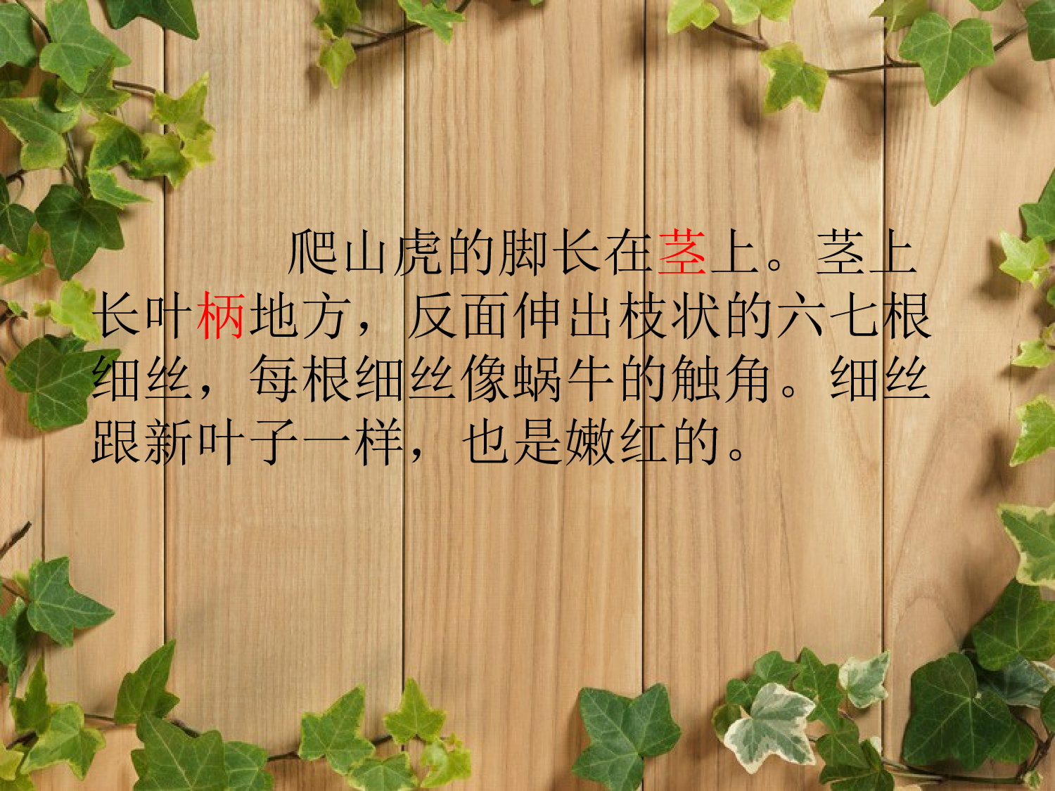 【课件】爬山虎的脚.ppt 第7页