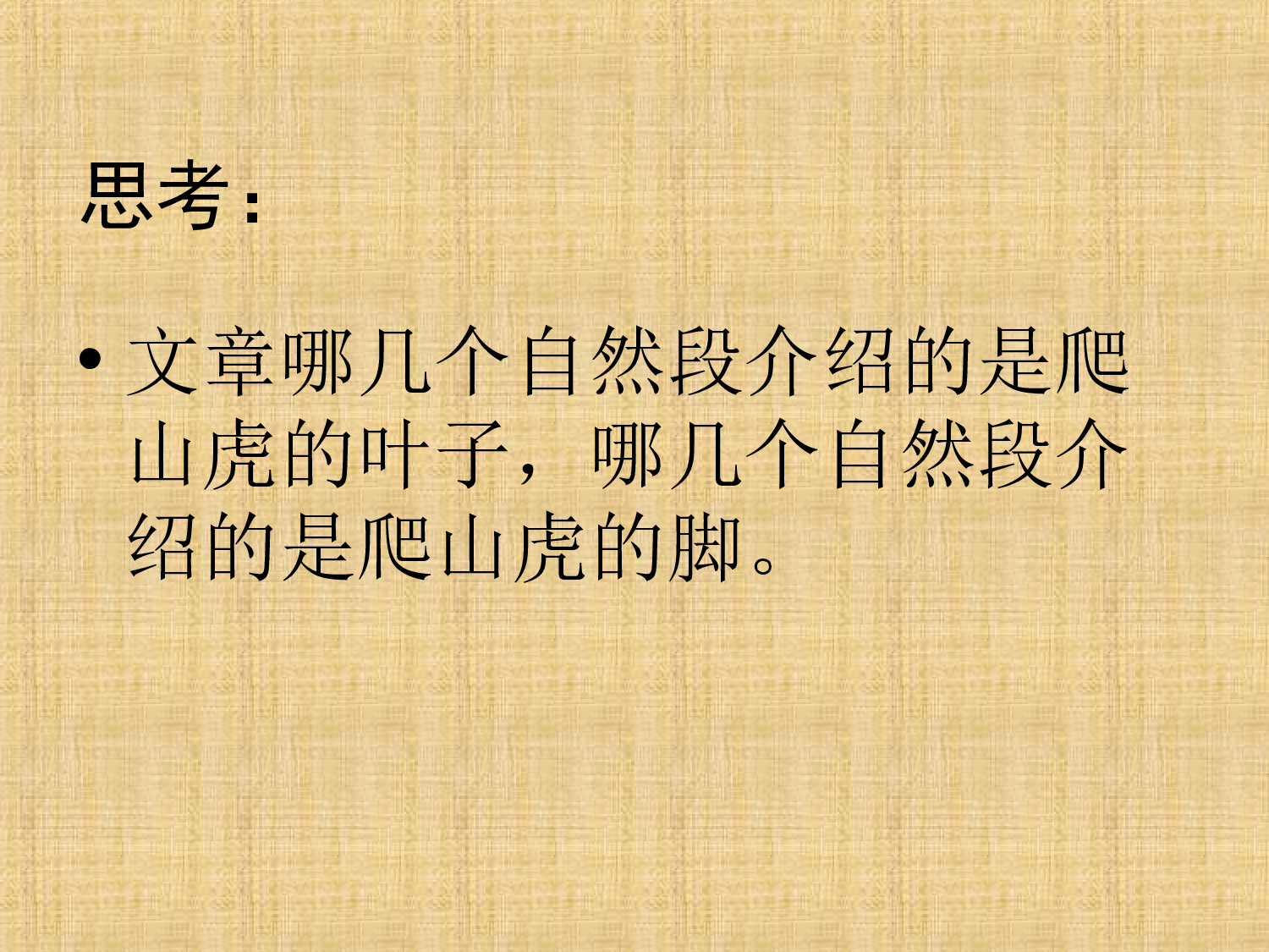 【课件】爬山虎的脚.ppt 第5页