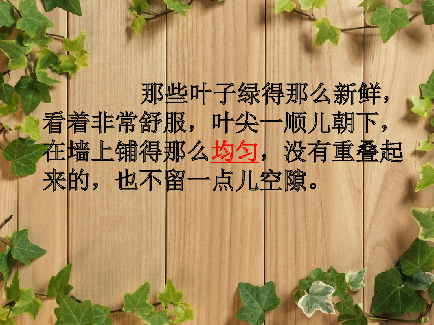 【课件】爬山虎的脚.ppt 第6页