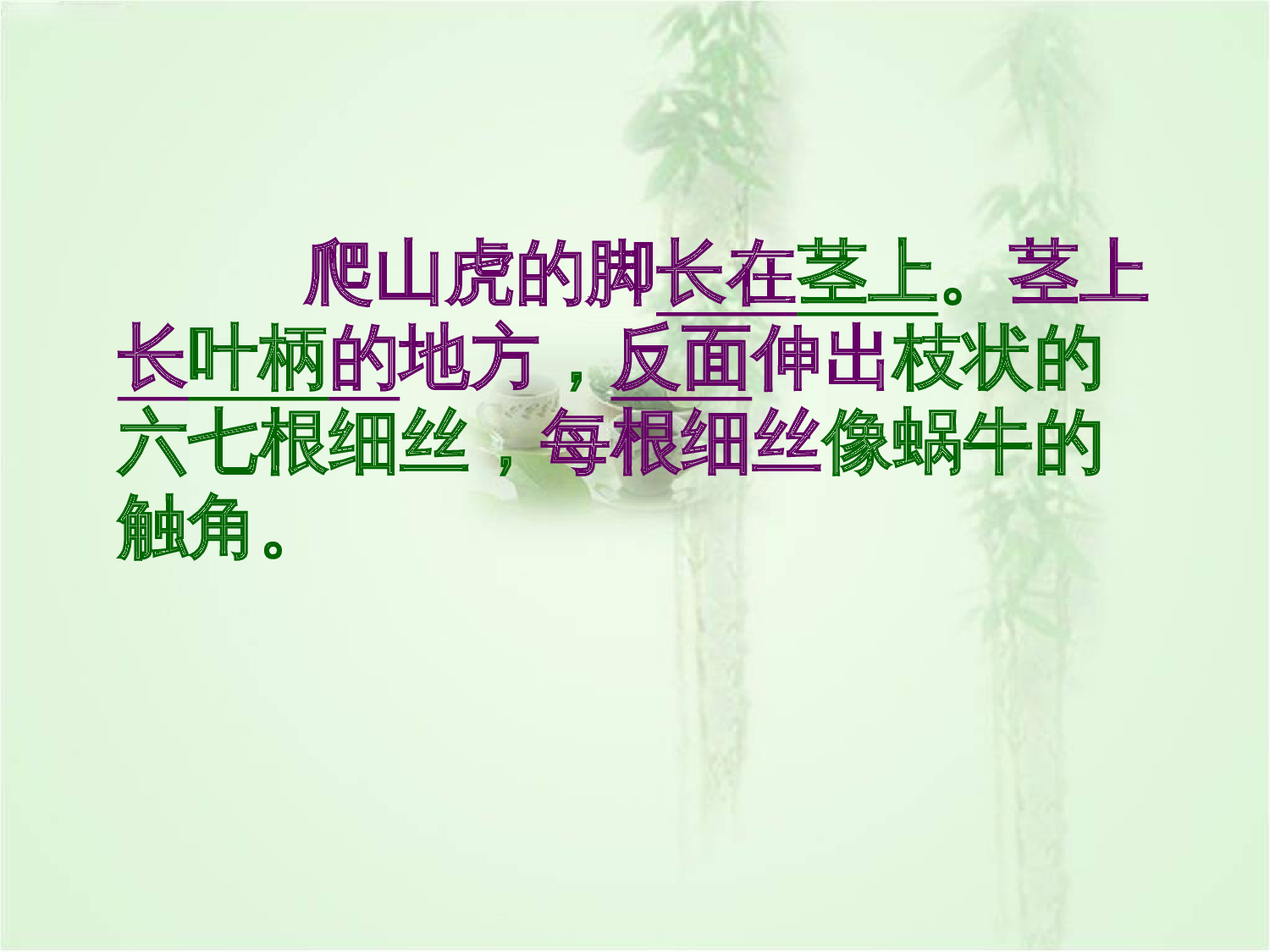 【课件】爬山虎的脚 课件.ppt 第10页