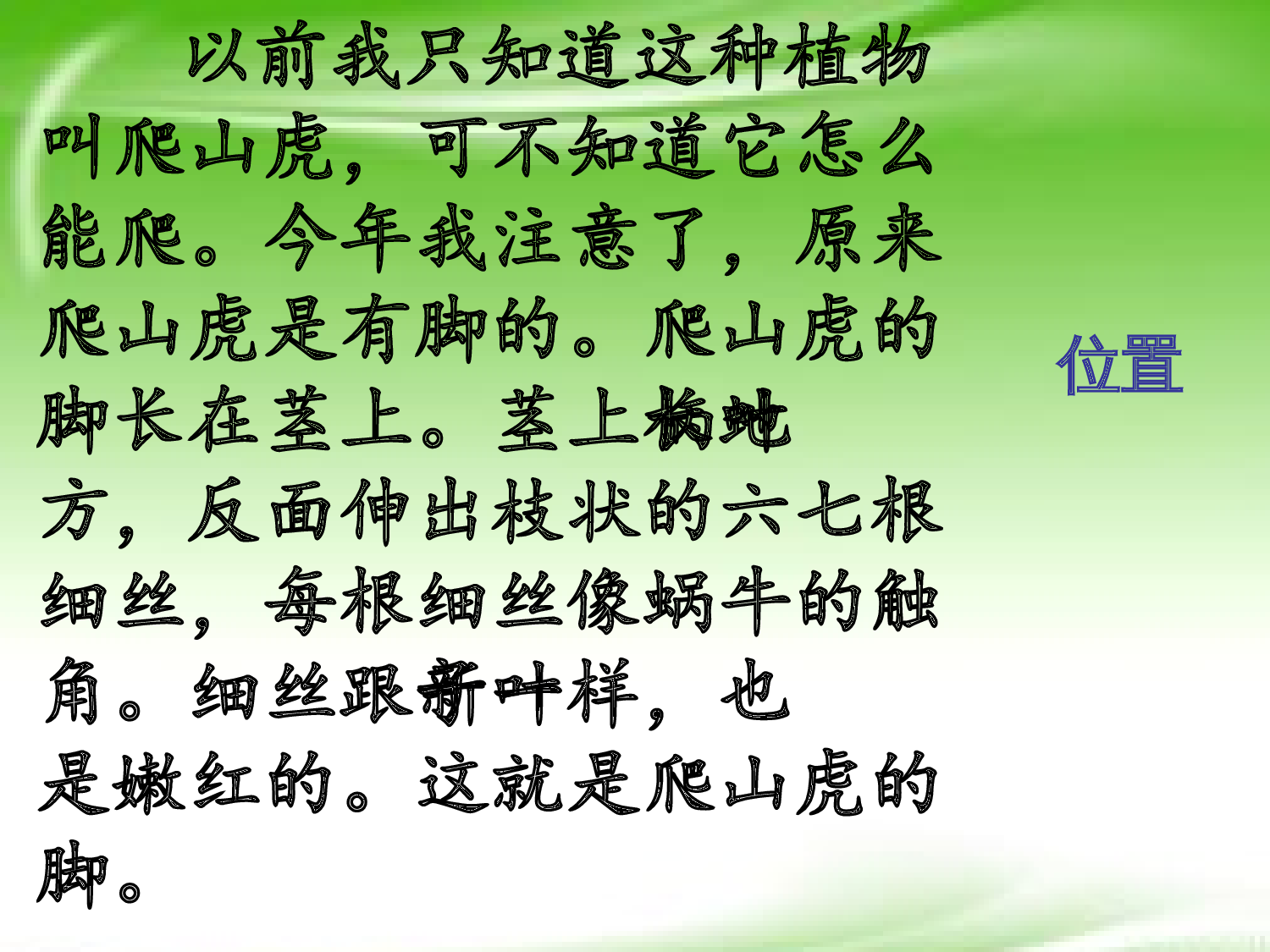 【课件】爬山虎的脚.ppt 第10页