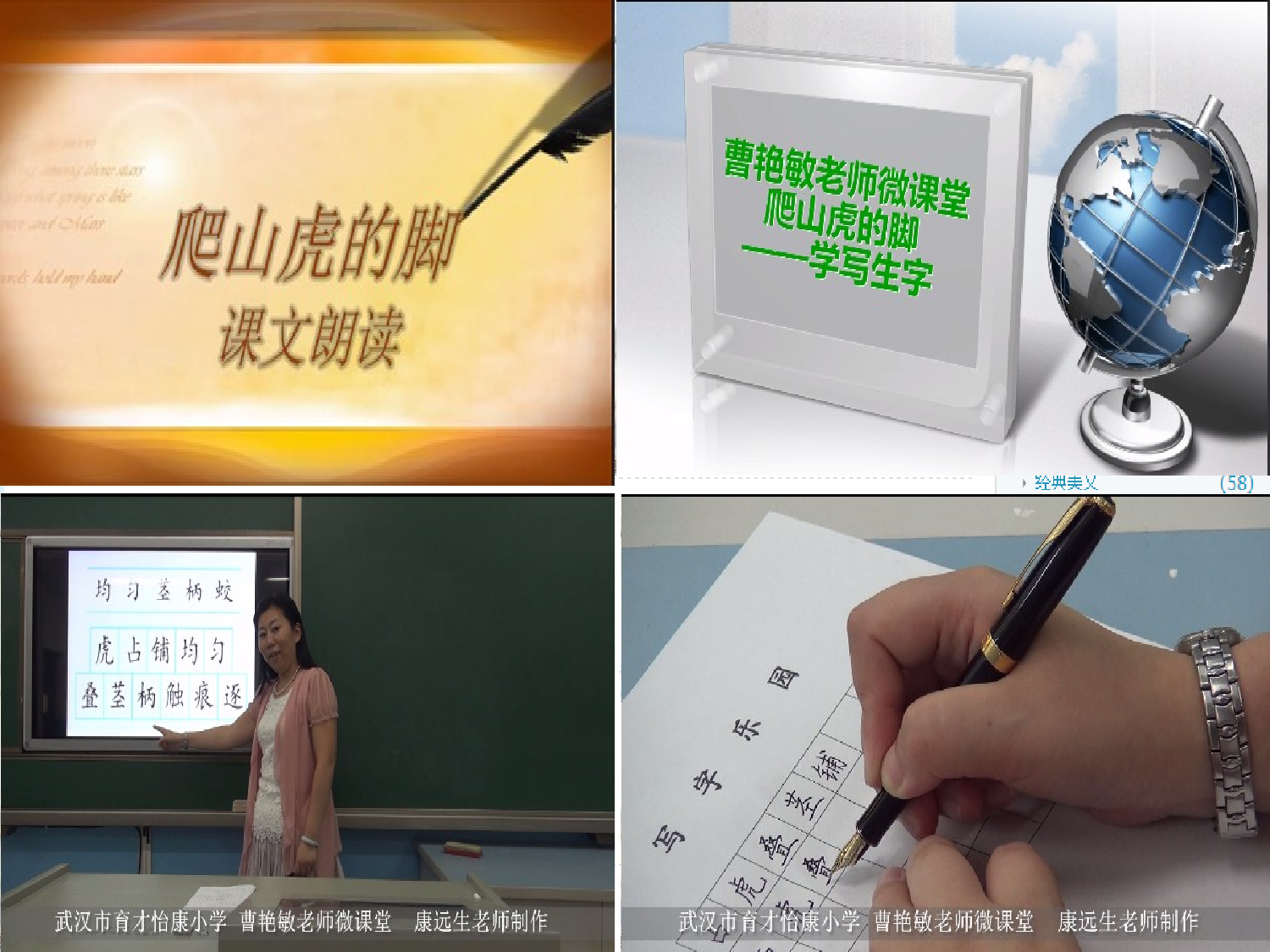 【课件】爬山虎的脚.ppt 第5页