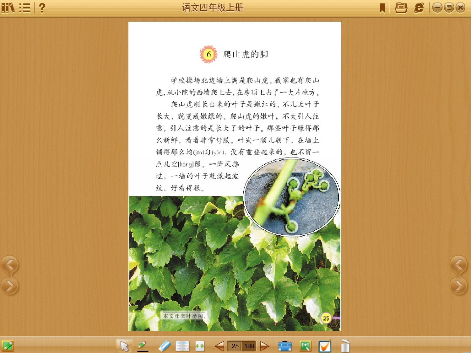 【课件】爬山虎的脚.ppt 第9页