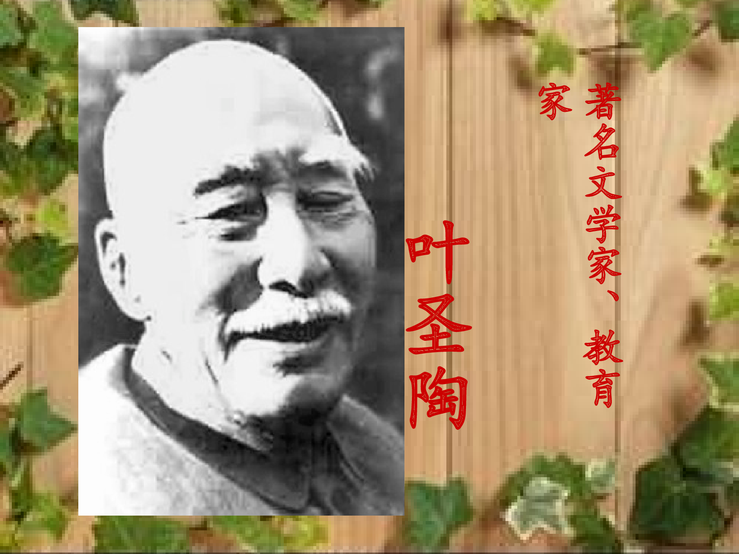 【课件】爬山虎的脚.ppt 第3页