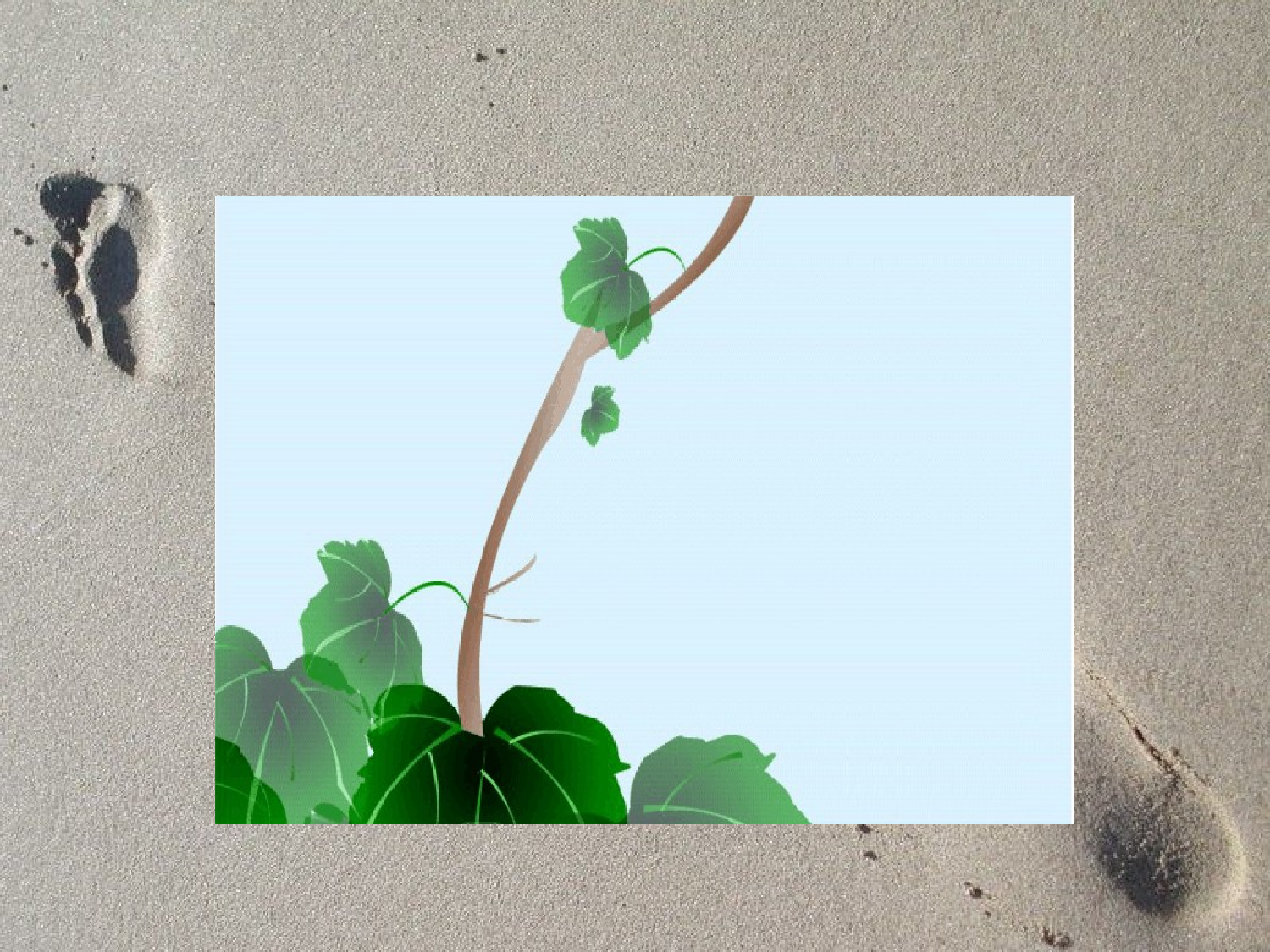 【课件】爬山虎的脚.ppt 第10页